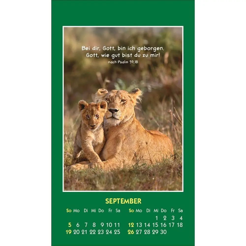 Bild: 9783754893579 | Hallo Du 2027 | Mini-Aufkleber-Kalender | Kalender | Spiralbindung