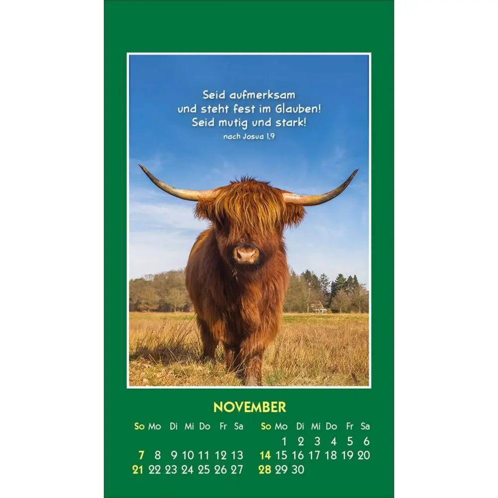 Bild: 9783754893579 | Hallo Du 2027 | Mini-Aufkleber-Kalender | Kalender | Spiralbindung