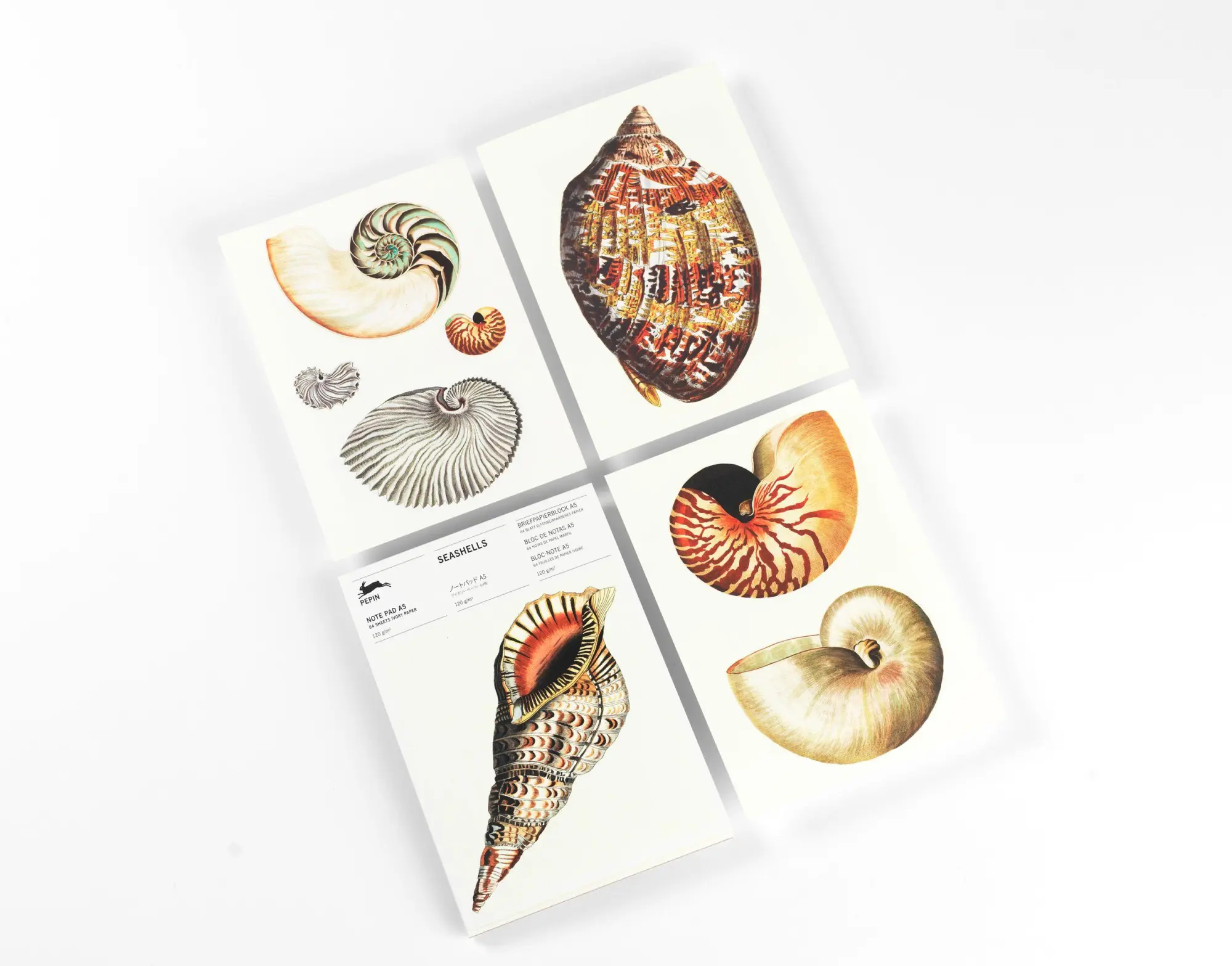 Bild: 9789460093579 | Seashells | Writing Paper &amp; Note Pad A5 | Pepin Van Roojen | Deutsch