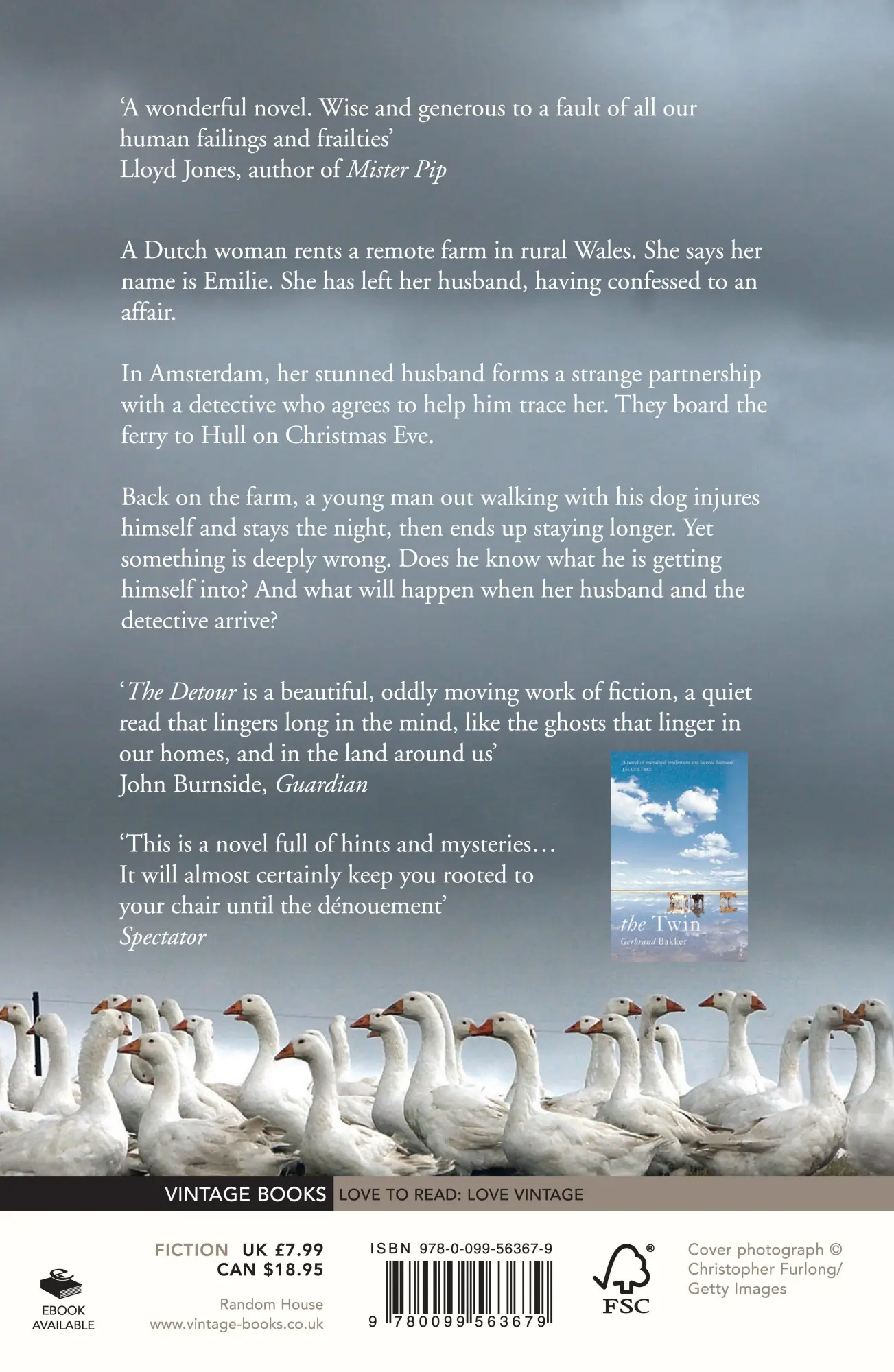 Rückseite: 9780099563679 | The Detour | Gerbrand Bakker | Taschenbuch | Englisch | 2013 | Vintage