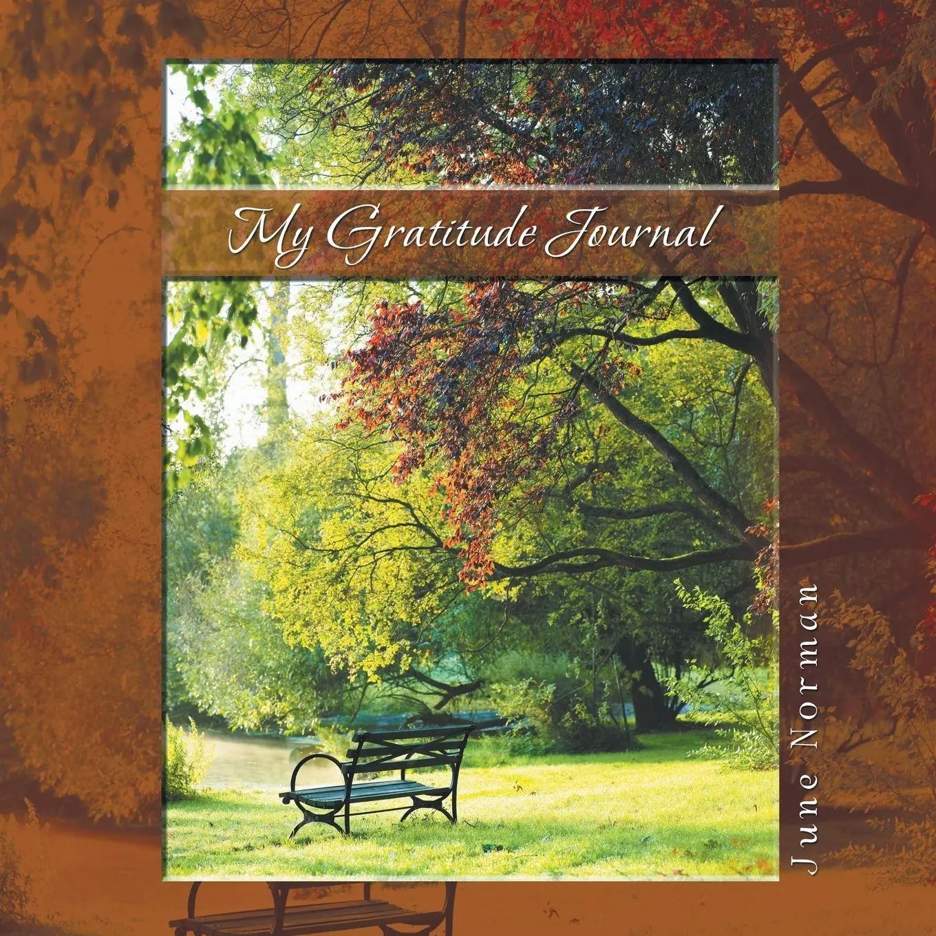 Cover: 9781452583679 | My Gratitude Journal | June Norman | Taschenbuch | Englisch | 2013
