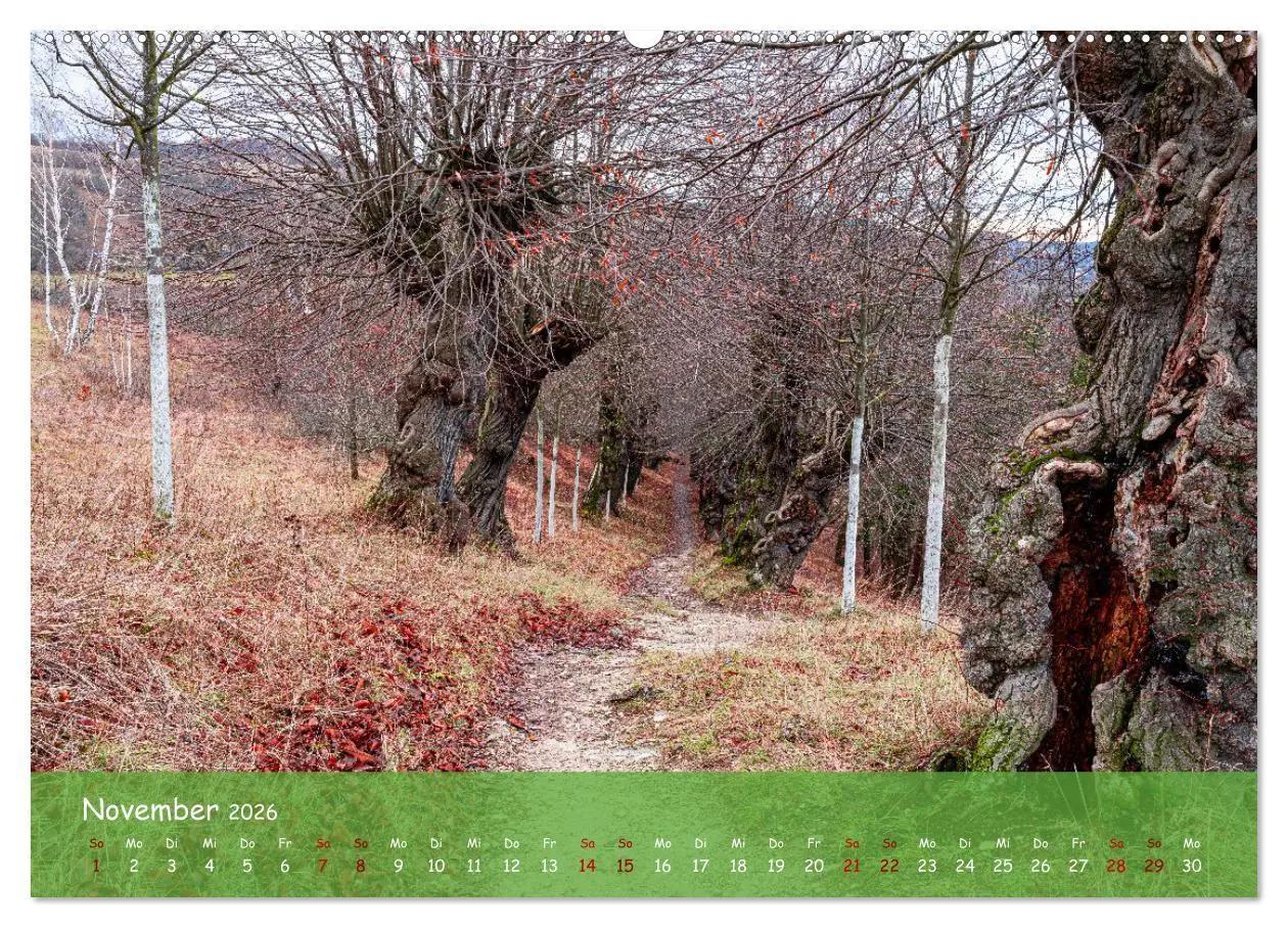 Bild: 9783457403679 | Jena - Faszination in Bildern (Wandkalender 2026 DIN A2 quer),...