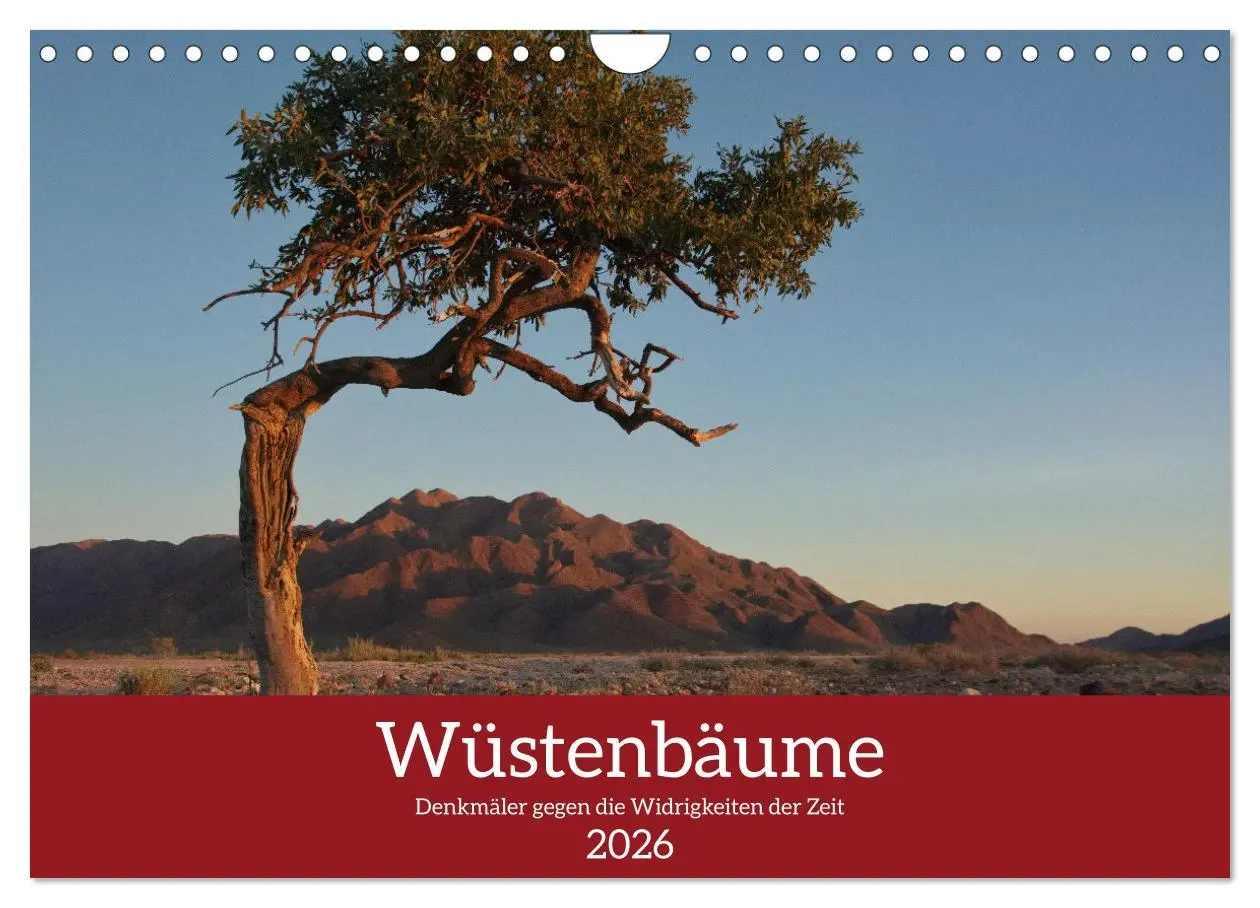 Cover: 9783457573679 | Wüstenbäume (Wandkalender 2026 DIN A4 quer), CALVENDO Monatskalender