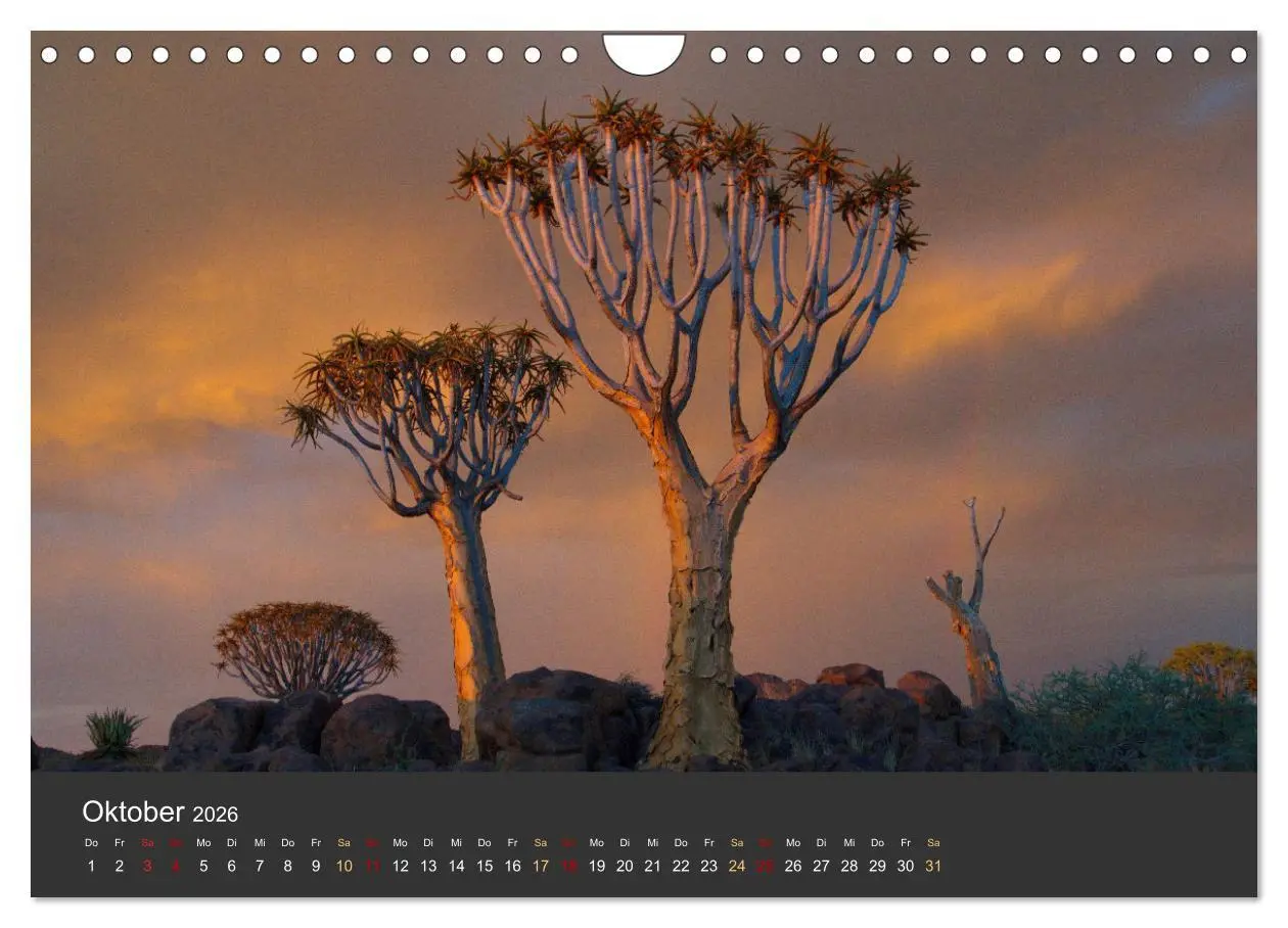 Bild: 9783457573679 | Wüstenbäume (Wandkalender 2026 DIN A4 quer), CALVENDO Monatskalender