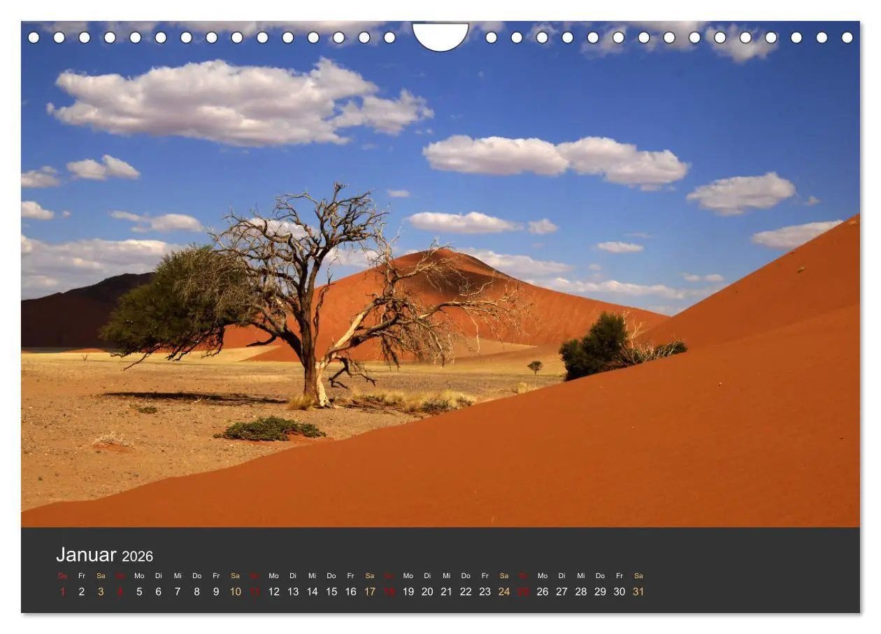 Bild: 9783457573679 | Wüstenbäume (Wandkalender 2026 DIN A4 quer), CALVENDO Monatskalender