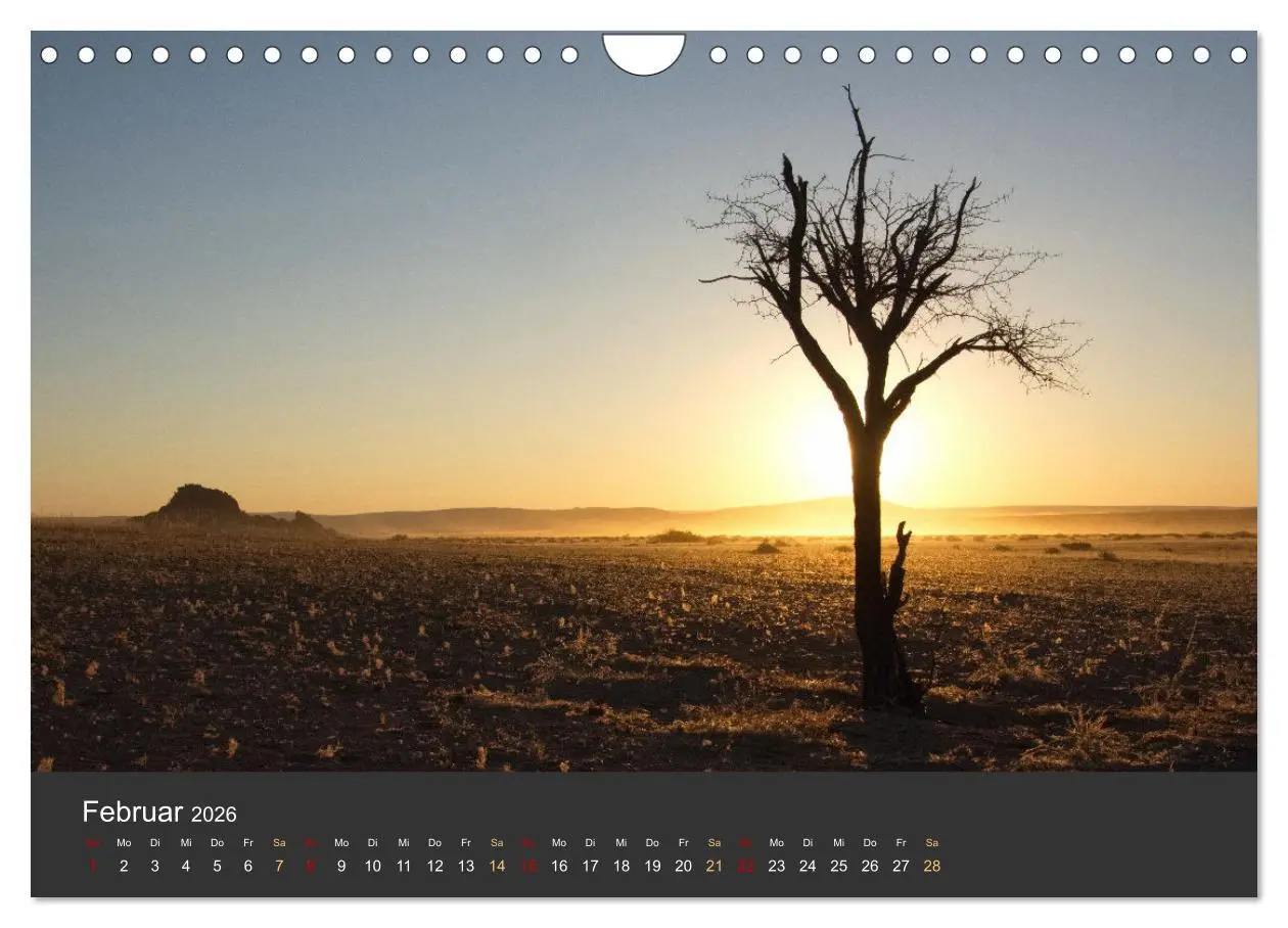 Bild: 9783457573679 | Wüstenbäume (Wandkalender 2026 DIN A4 quer), CALVENDO Monatskalender