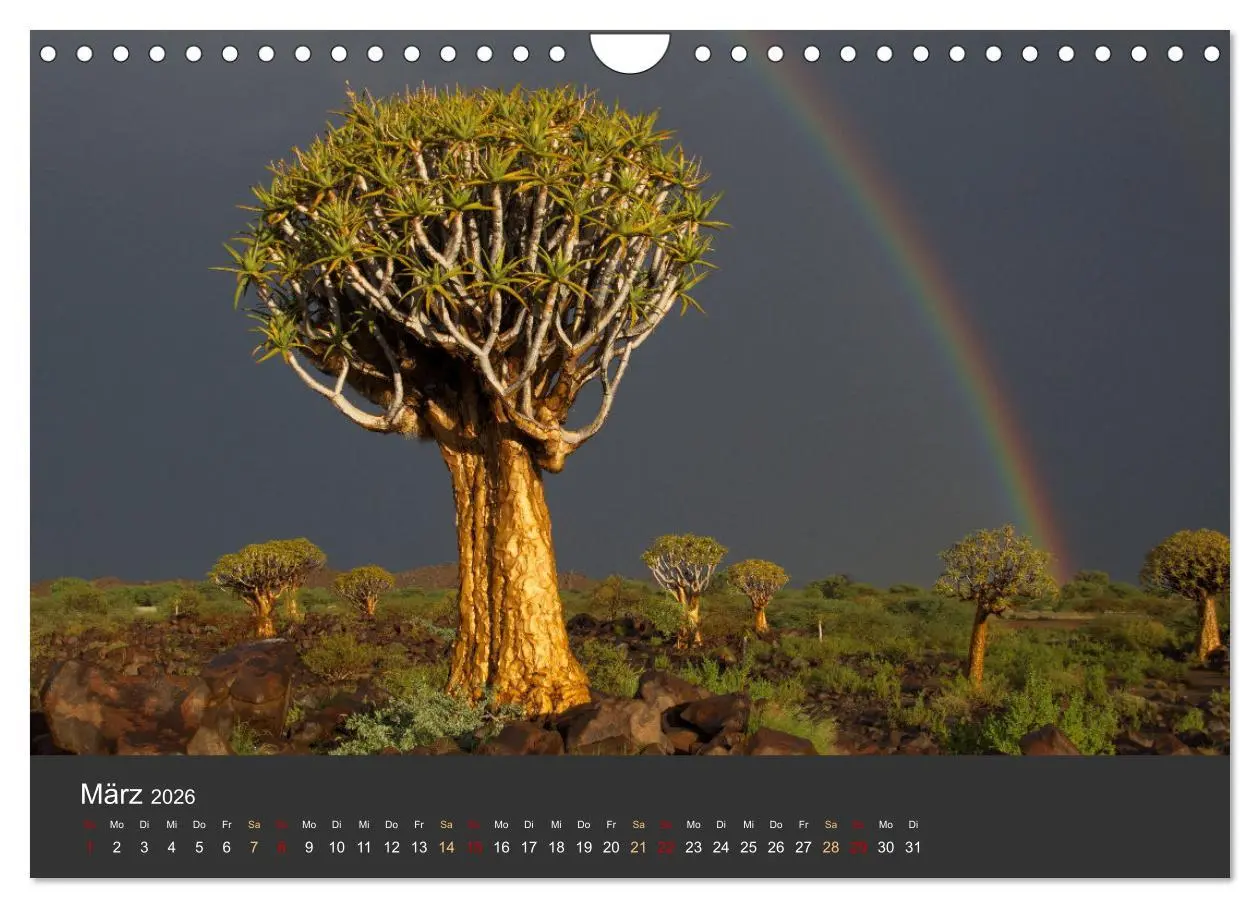 Bild: 9783457573679 | Wüstenbäume (Wandkalender 2026 DIN A4 quer), CALVENDO Monatskalender