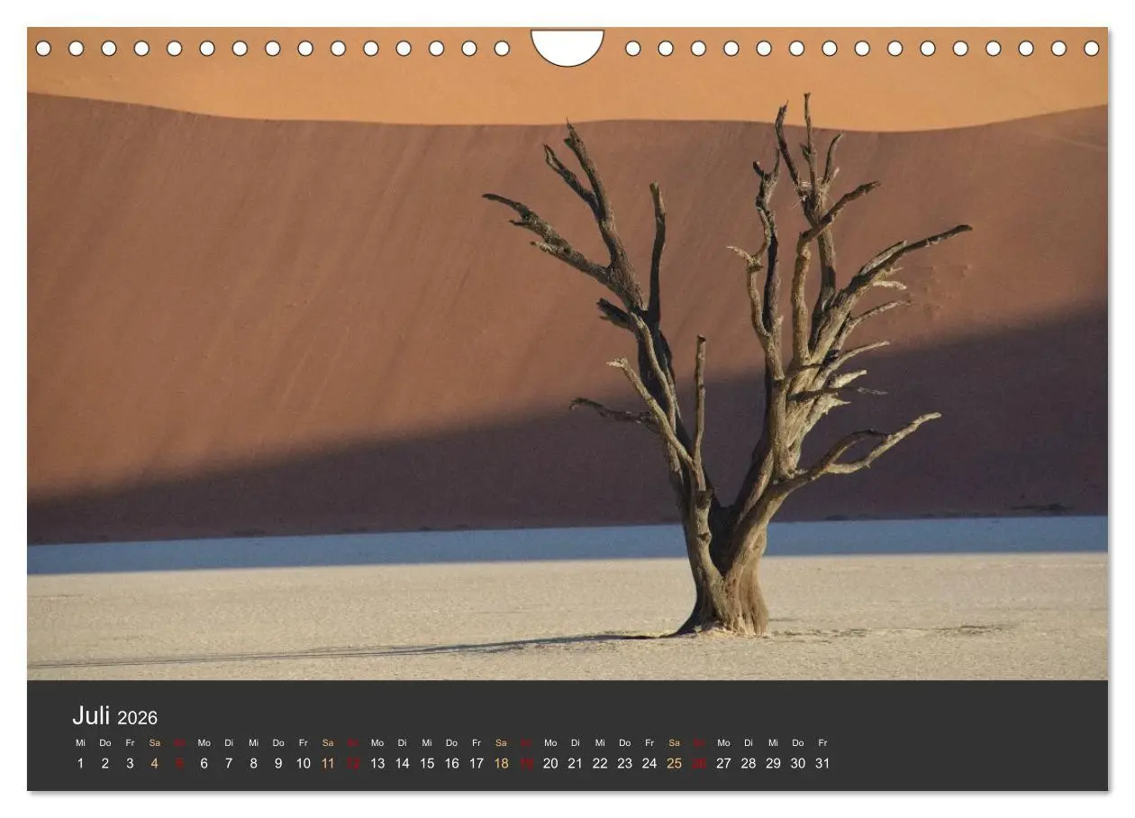 Bild: 9783457573679 | Wüstenbäume (Wandkalender 2026 DIN A4 quer), CALVENDO Monatskalender