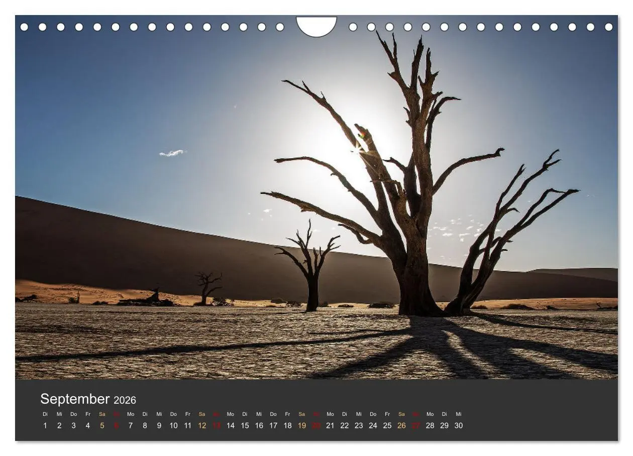 Bild: 9783457573679 | Wüstenbäume (Wandkalender 2026 DIN A4 quer), CALVENDO Monatskalender