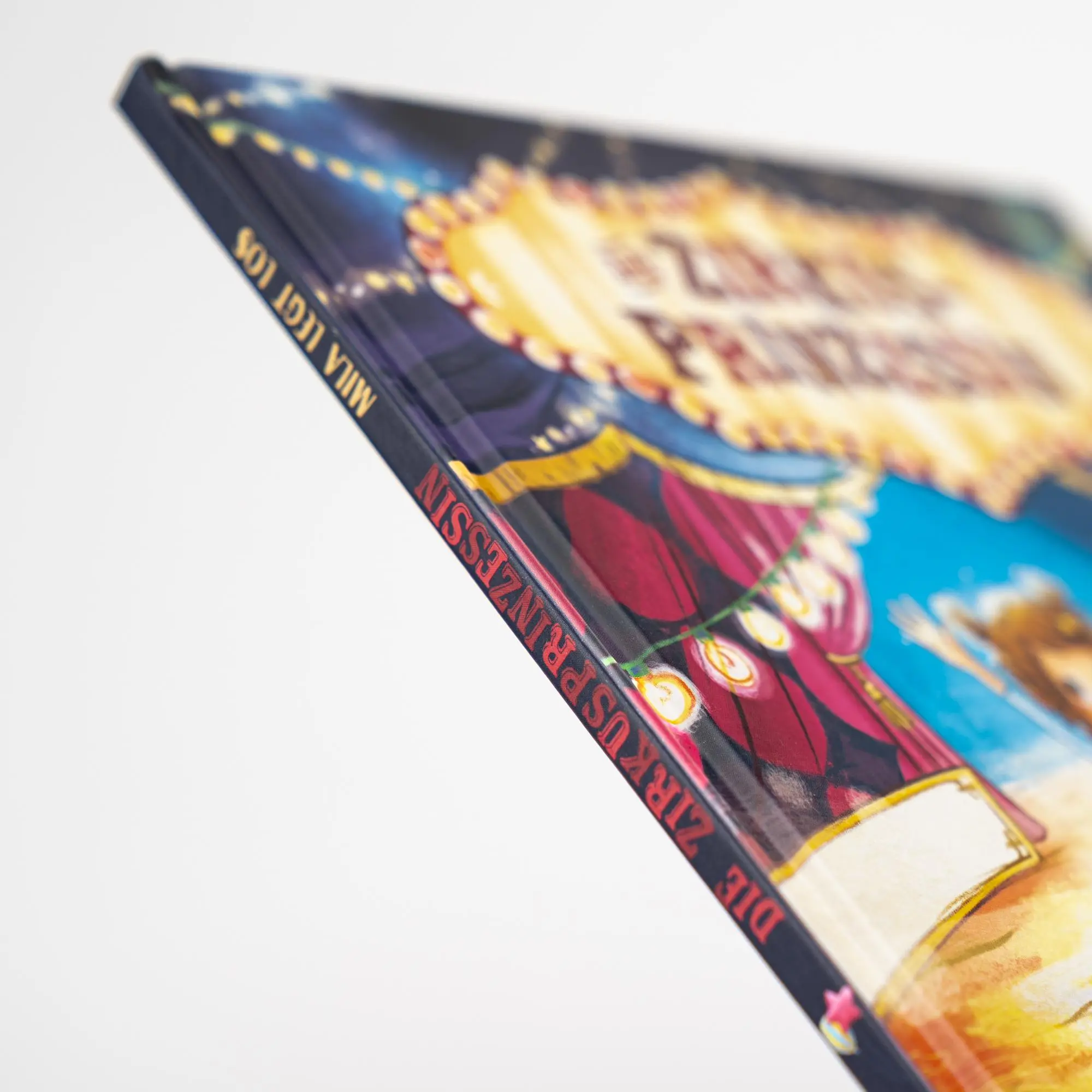 Bild: 9783505153679 | Die Zirkusprinzessin - Mila legt los | Nina Weger | Buch | 32 S.