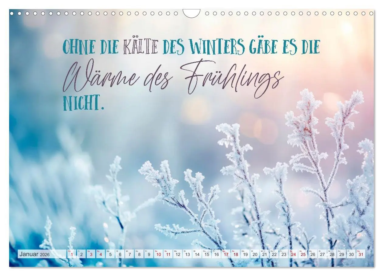 Bild: 9783516593679 | SEELENZEIT Ein Jahr voller Achtsamkeit (Wandkalender 2026 DIN A3...