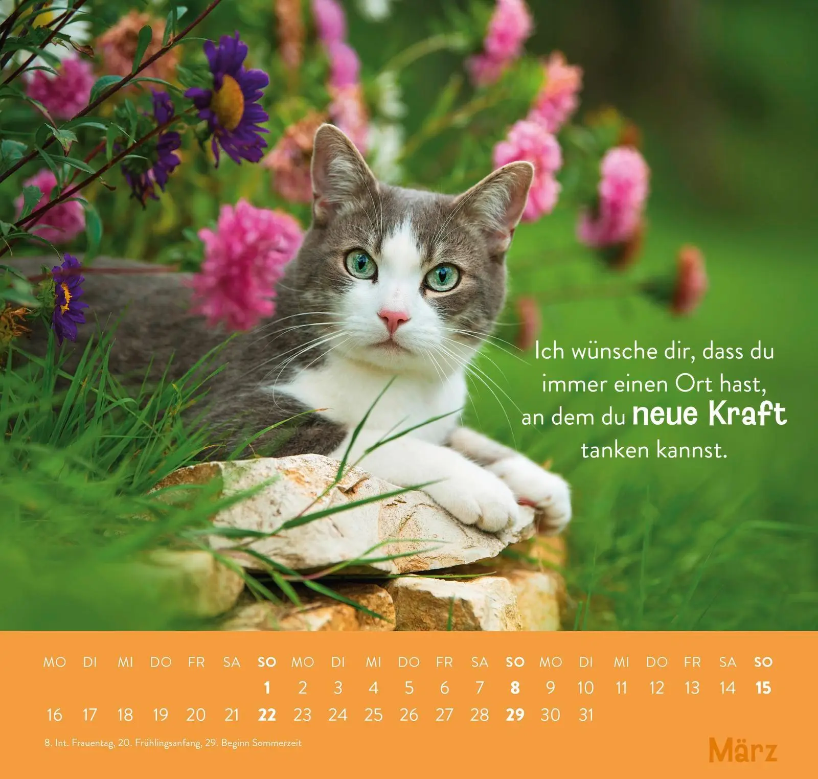 Bild: 4036442013779 | Wandkalender 2026: Einfach mal abhängen | Groh Verlag | Kalender
