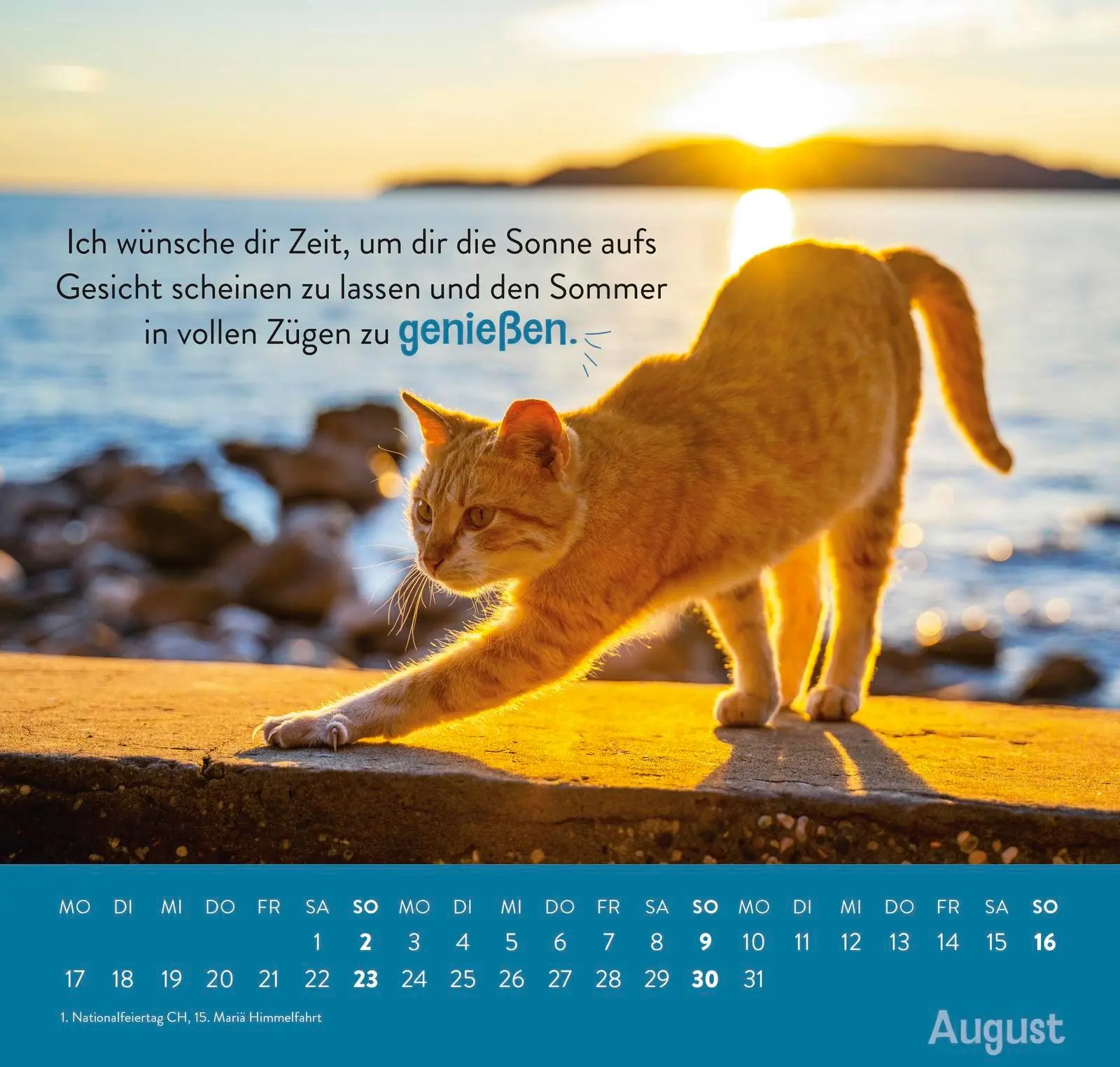 Bild: 4036442013779 | Wandkalender 2026: Einfach mal abhängen | Groh Verlag | Kalender