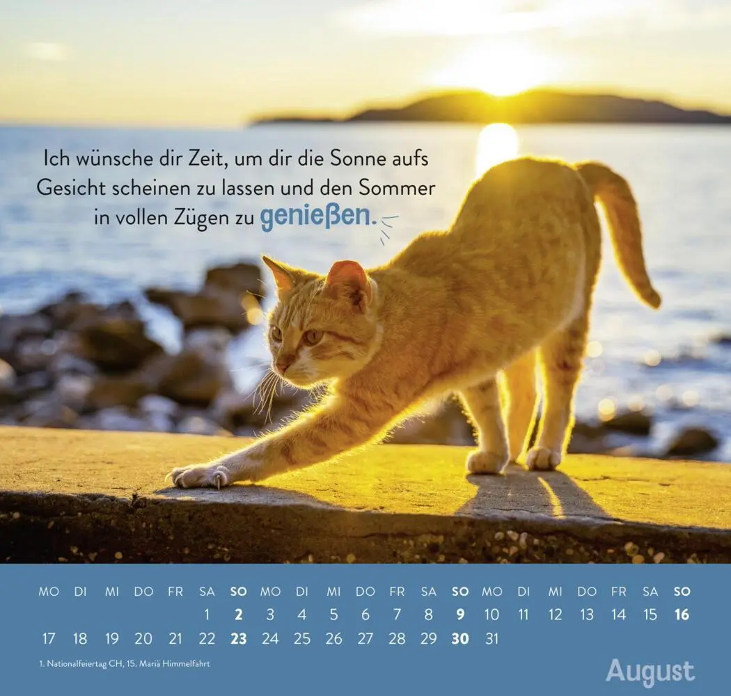Bild: 4036442013779 | Wandkalender 2026: Einfach mal abhängen | Groh Verlag | Kalender