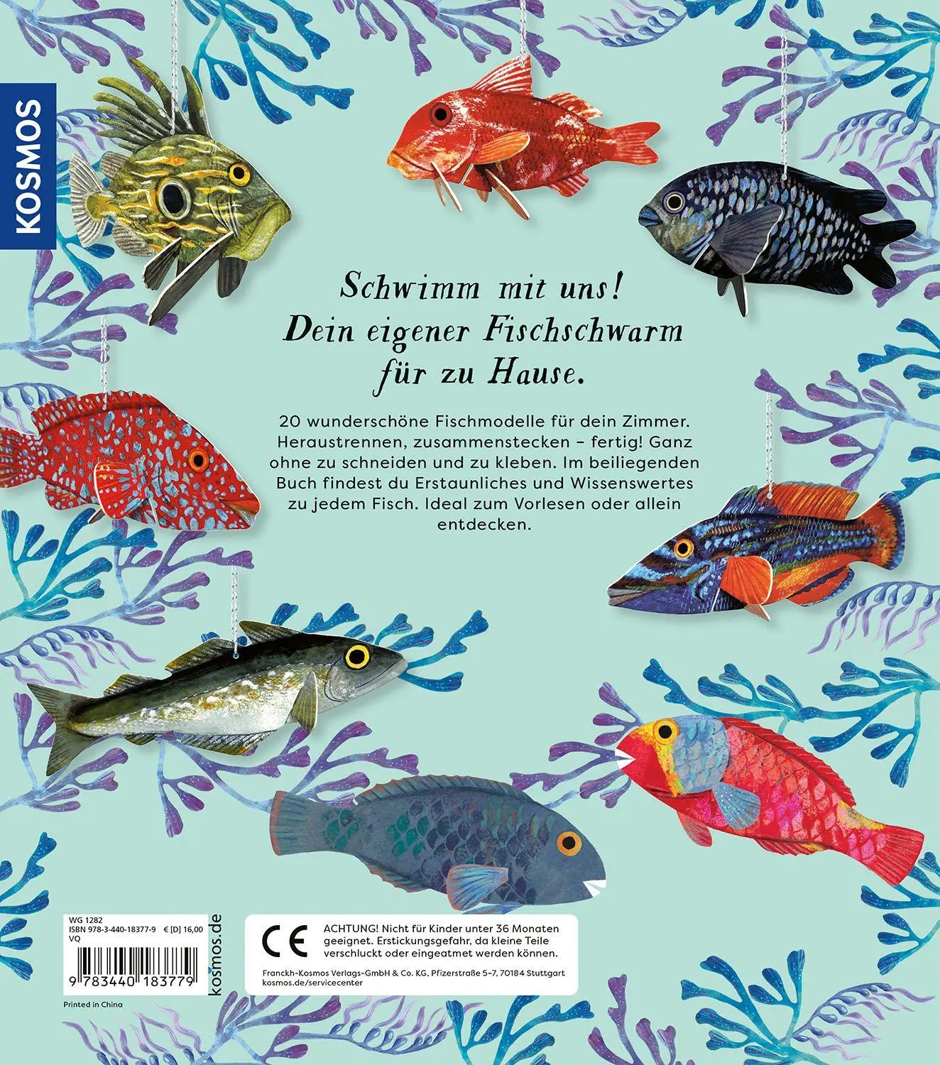 Bild: 9783440183779 | Schwimm mit uns! | Lauren Fairgrieve | Buch | 20 S. | Deutsch | 2026