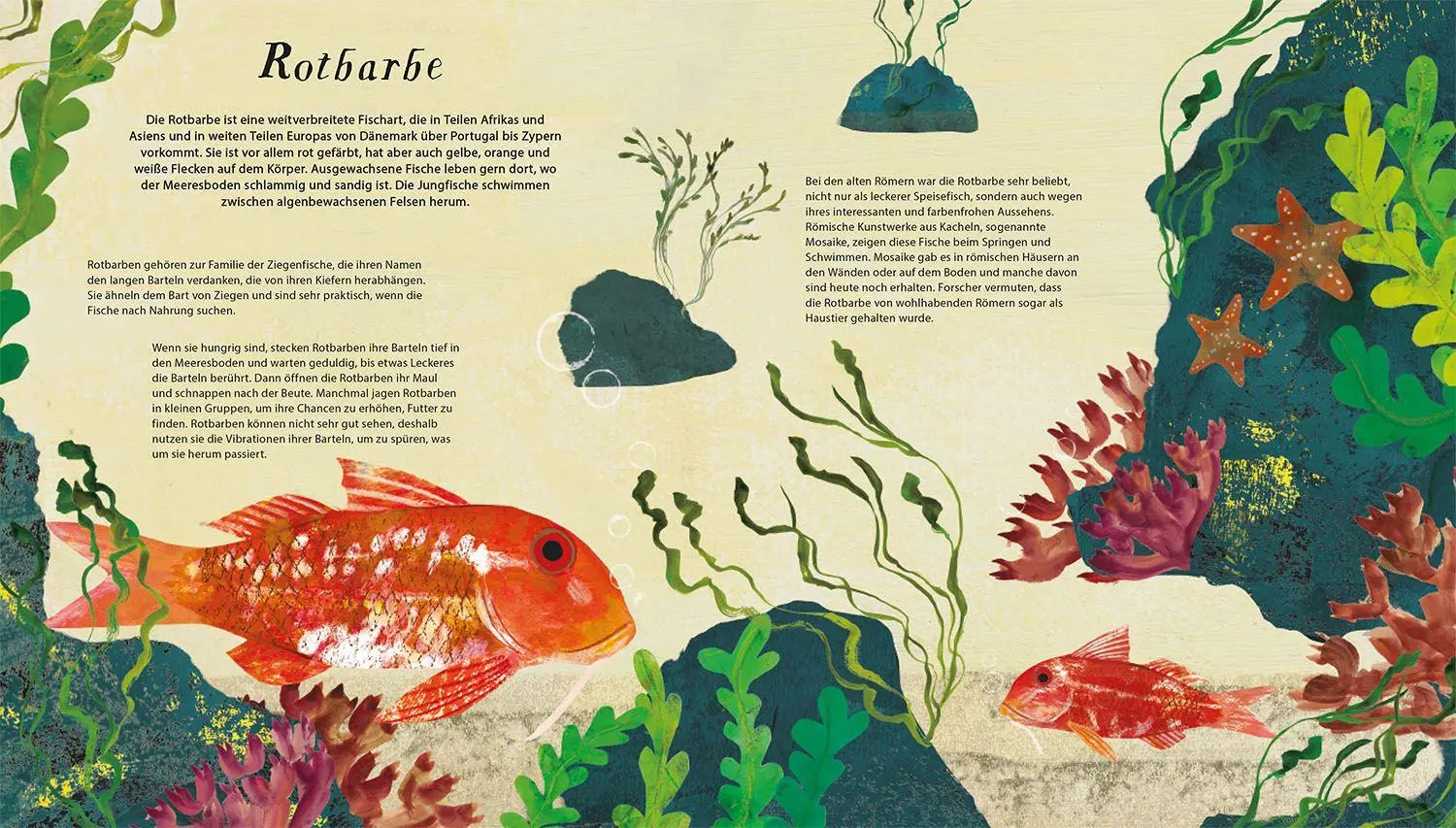 Bild: 9783440183779 | Schwimm mit uns! | Lauren Fairgrieve | Buch | 20 S. | Deutsch | 2026