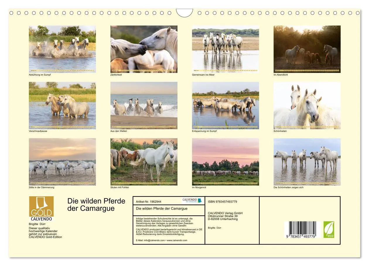 Bild: 9783457493779 | Die wilden Pferde der Camargue (Wandkalender 2026 DIN A3 quer),...