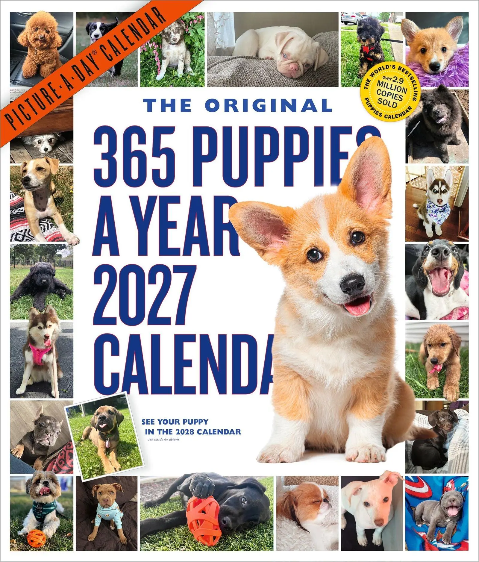 Cover: 9781523533879 | 365 Puppies-A-Year Picture-A-Day® Wall Calendar 2027 | Calendars