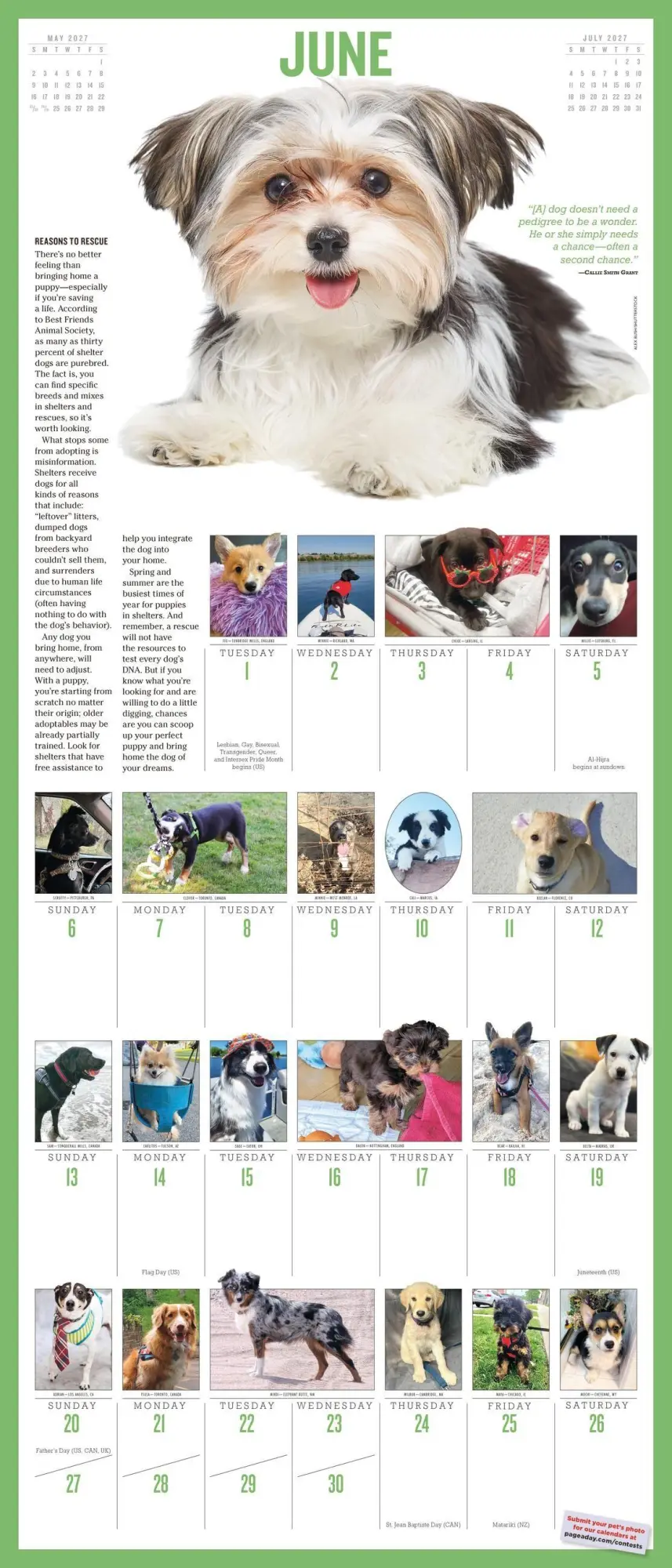 Bild: 9781523533879 | 365 Puppies-A-Year Picture-A-Day® Wall Calendar 2027 | Calendars