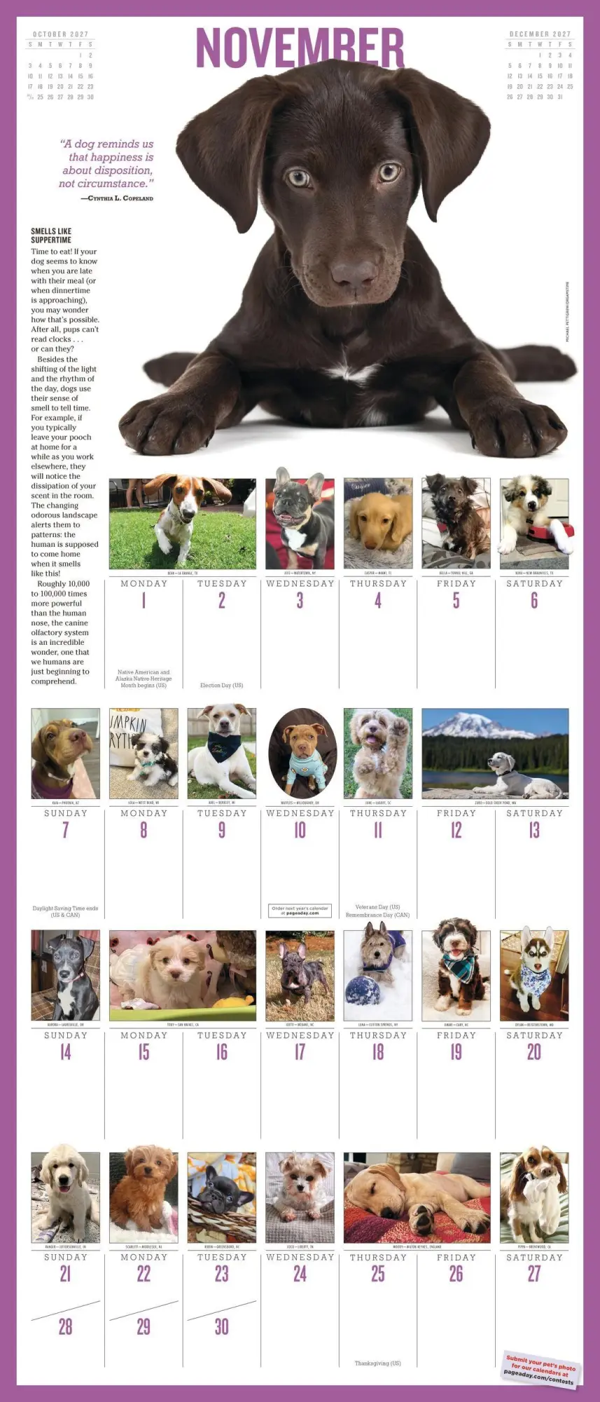 Bild: 9781523533879 | 365 Puppies-A-Year Picture-A-Day® Wall Calendar 2027 | Calendars