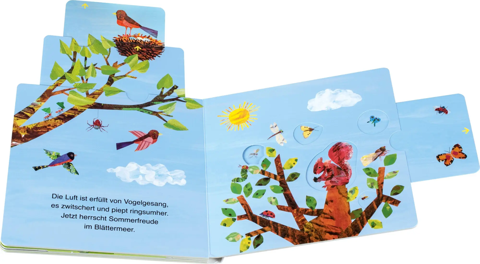 Bild: 9783836963879 | Die kleine Raupe Nimmersatt - Im Garten | Carle | Buch | 10 S. | 2026