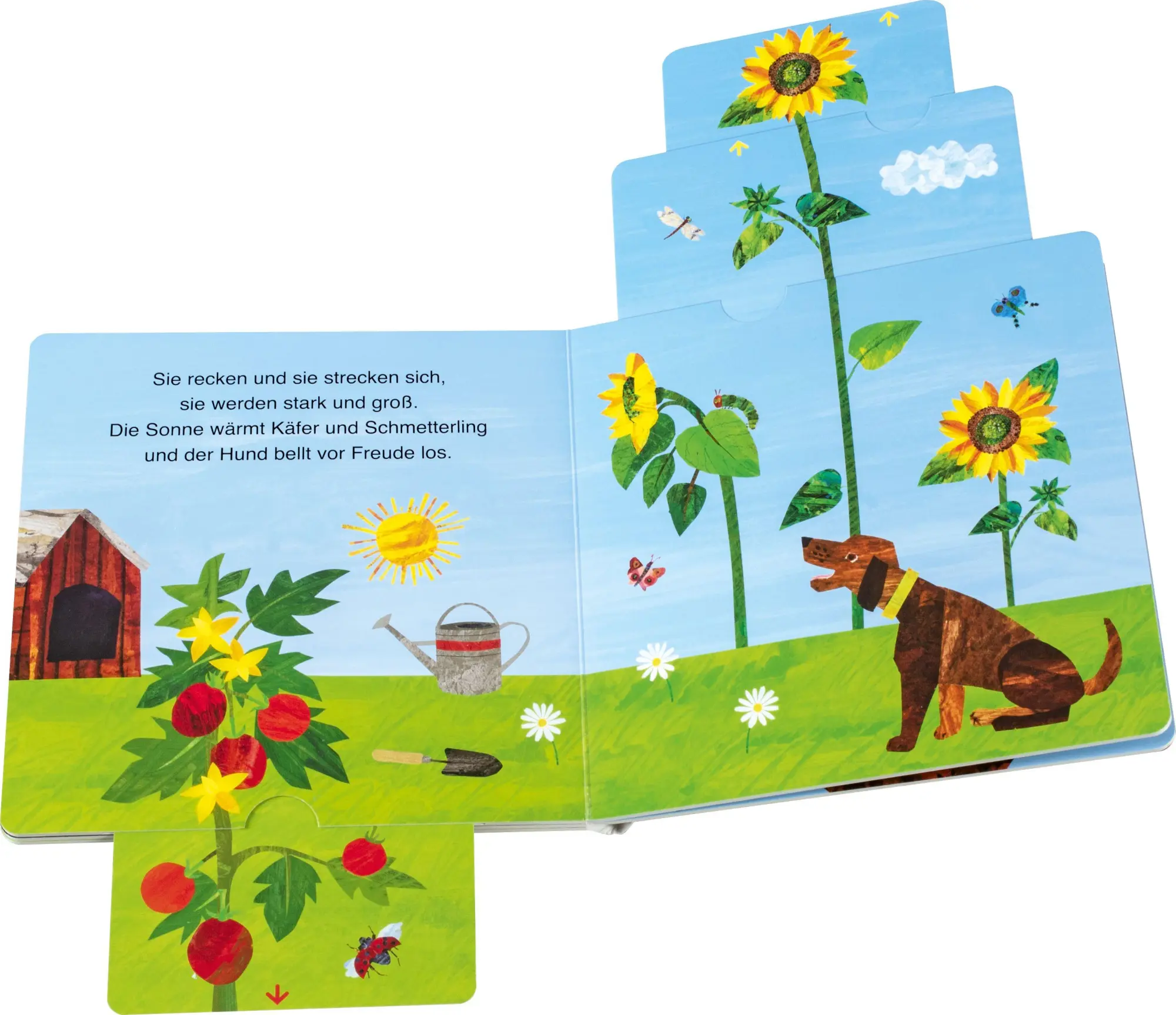 Bild: 9783836963879 | Die kleine Raupe Nimmersatt - Im Garten | Carle | Buch | 10 S. | 2026