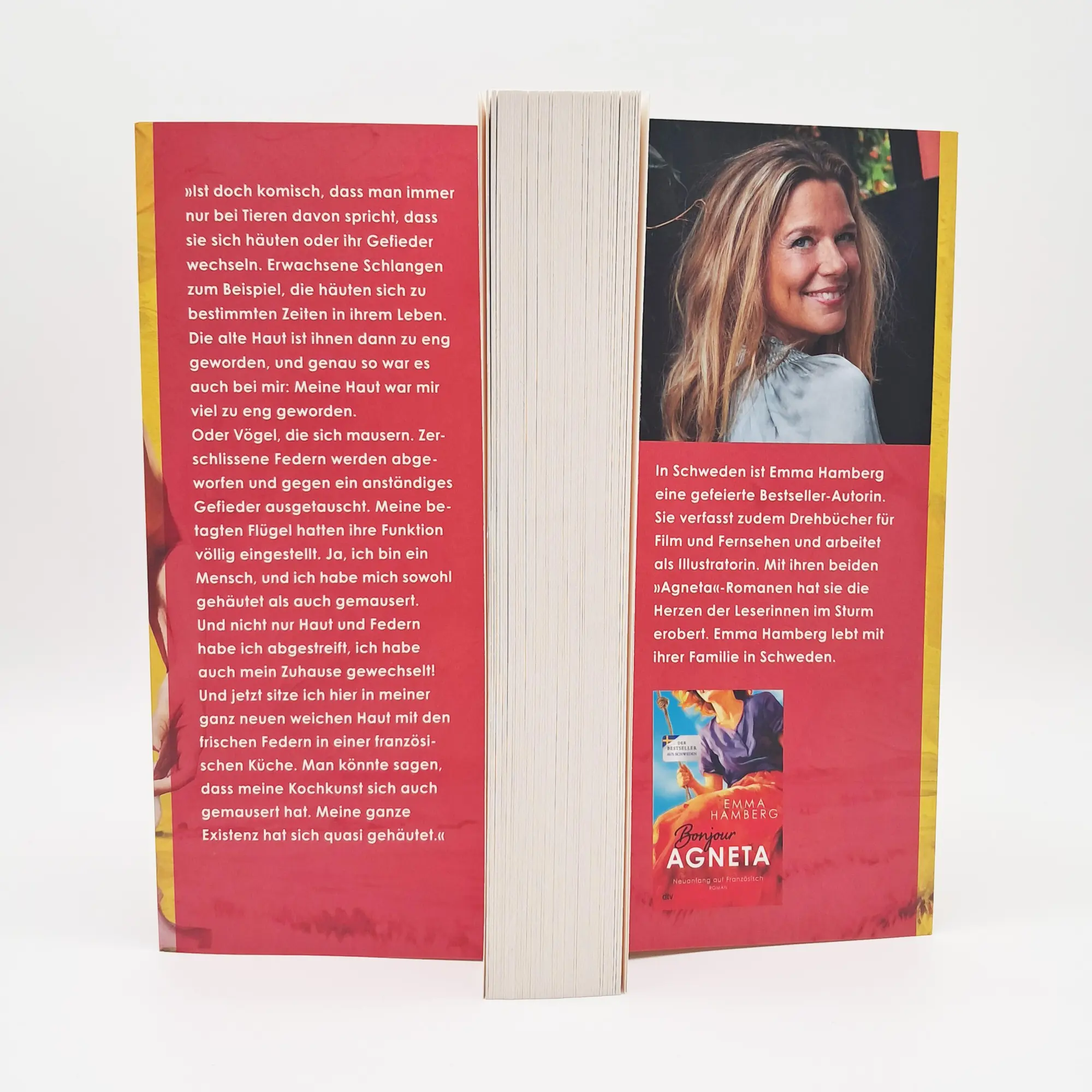 Bild: 9783423263979 | Merci Agneta | Roman | Emma Hamberg | Taschenbuch | 448 S. | Deutsch