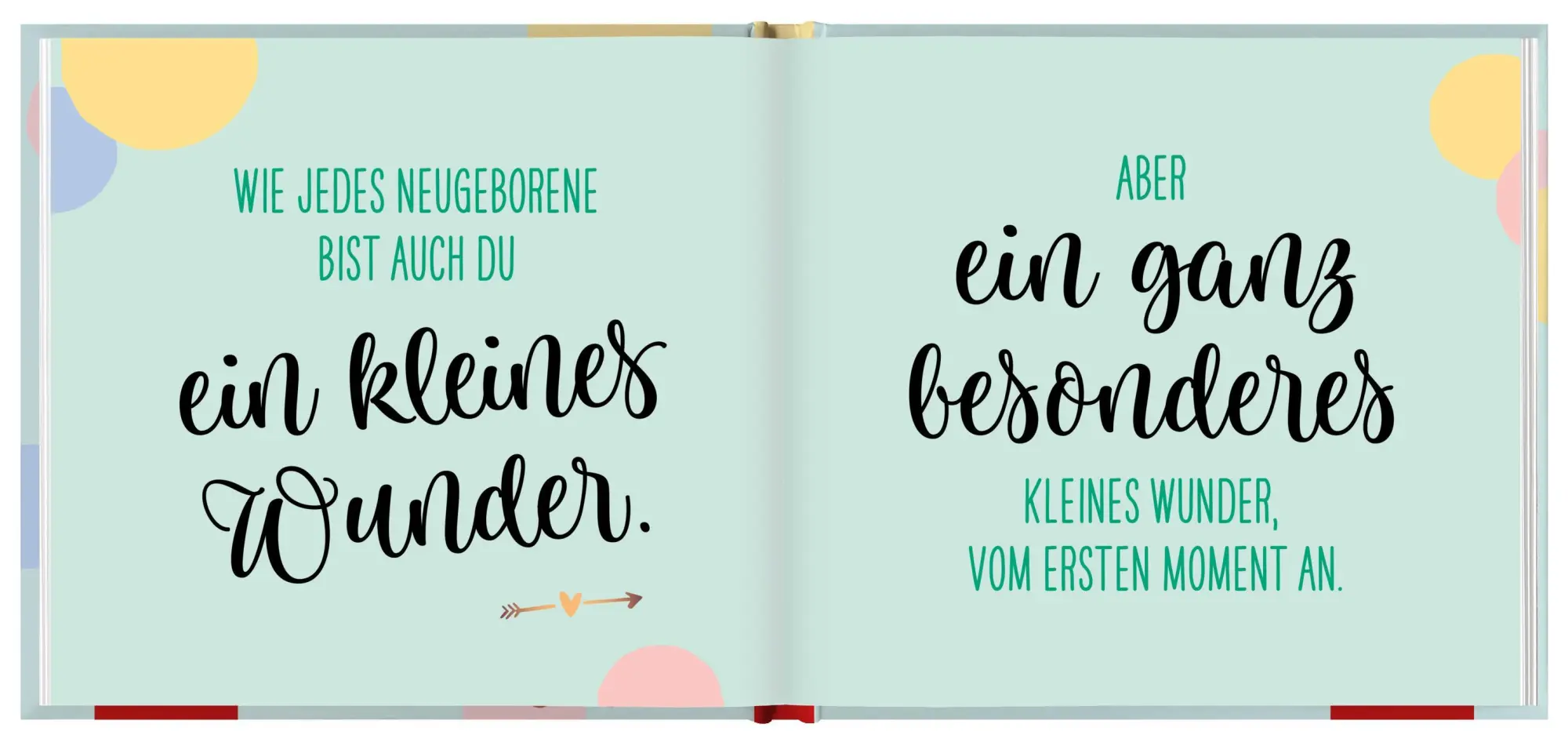 Bild: 9783848523979 | Hallo Baby. | Willkommen im Leben | Groh Verlag | Buch | 48 S. | 2020