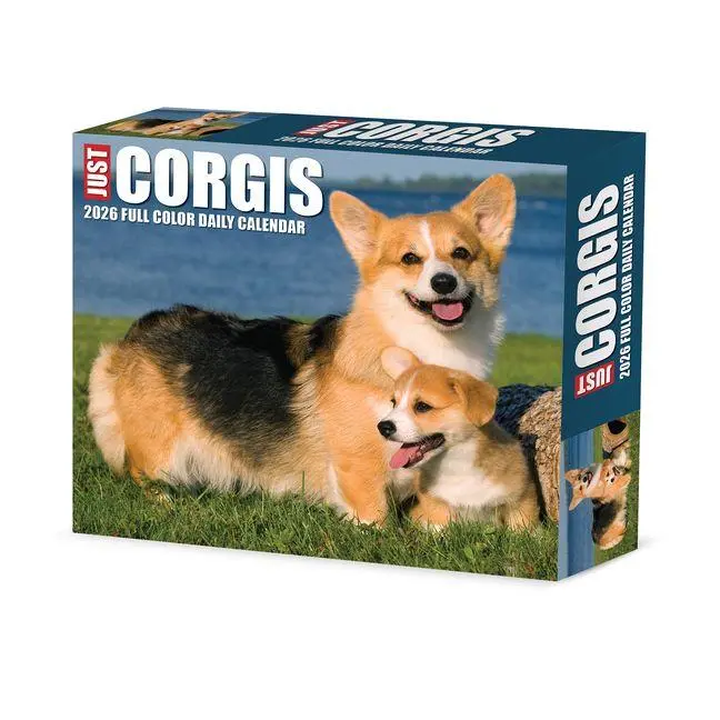 Cover: 9781549254079 | Corgis 2026 Box Calendar | Willow Creek Press | Kalender | Englisch