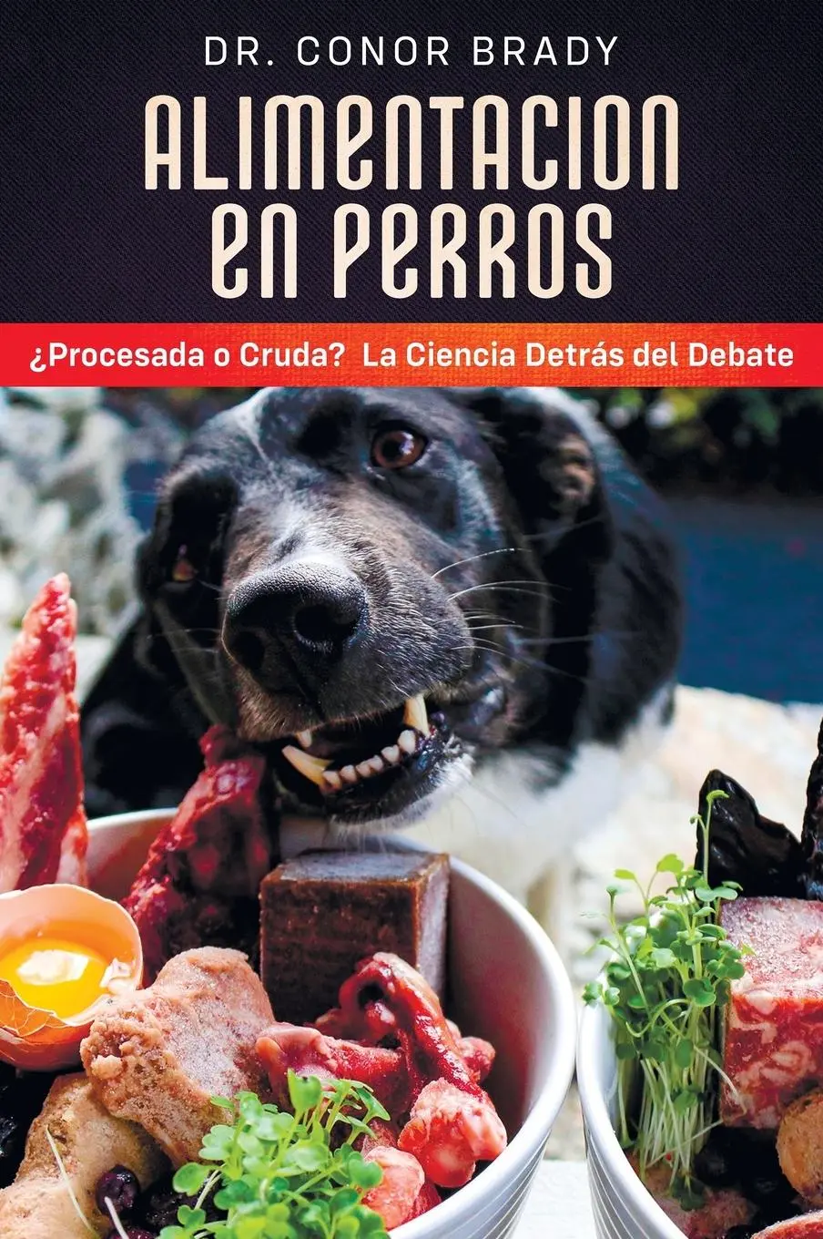 Cover: 9781916234079 | ALIMENTACIÓN EN PERROS | Conor Brady | Buch | Gebunden | Englisch