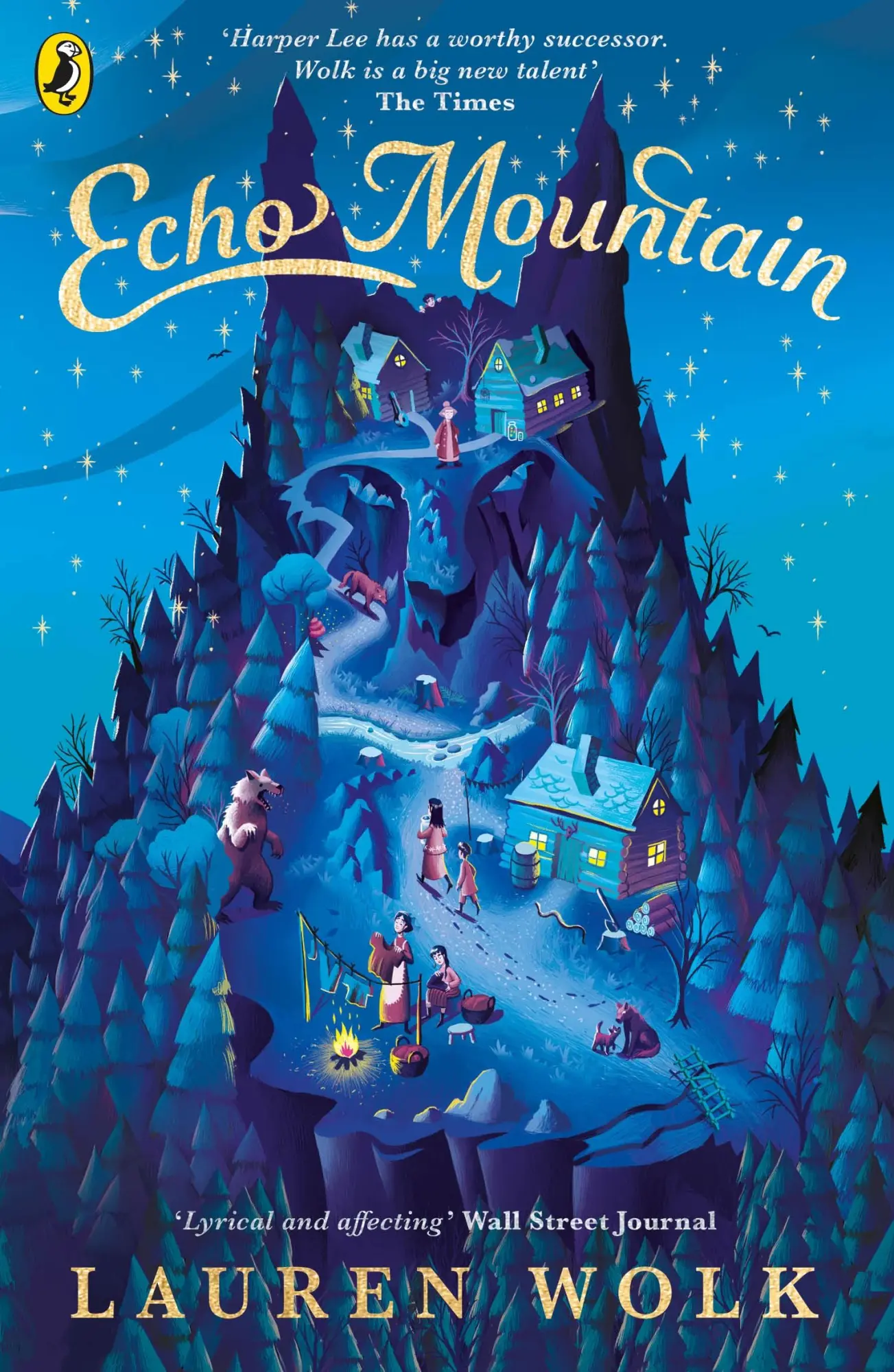 Cover: 9780241424179 | Echo Mountain | Lauren Wolk | Taschenbuch | B-format paperback | 2021