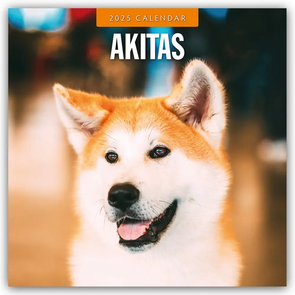 Cover: 9781804424179 | Akitas - Akita 2025 - 16-Monatskalender | Red Robin Publishing Ltd