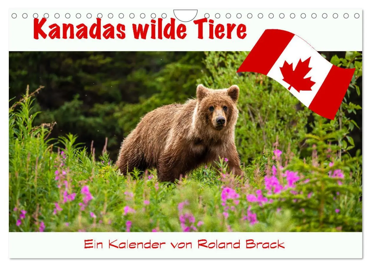 Cover: 9783457654279 | Kanadas Wilde Tiere (Wandkalender 2026 DIN A4 quer), CALVENDO...