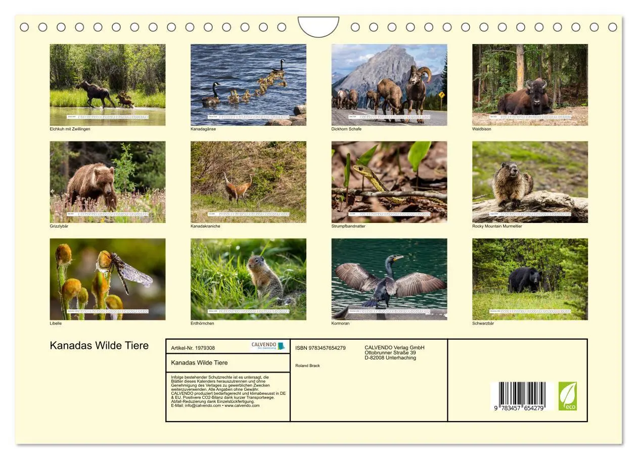 Bild: 9783457654279 | Kanadas Wilde Tiere (Wandkalender 2026 DIN A4 quer), CALVENDO...