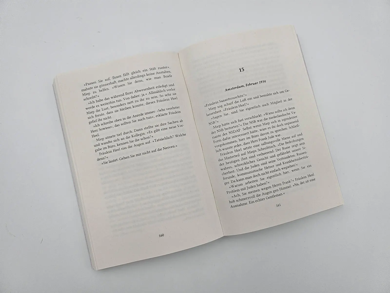 Bild: 9783492064279 | Die Kastanien an der Gracht - Miep Gies und das Tagebuch der Anne...
