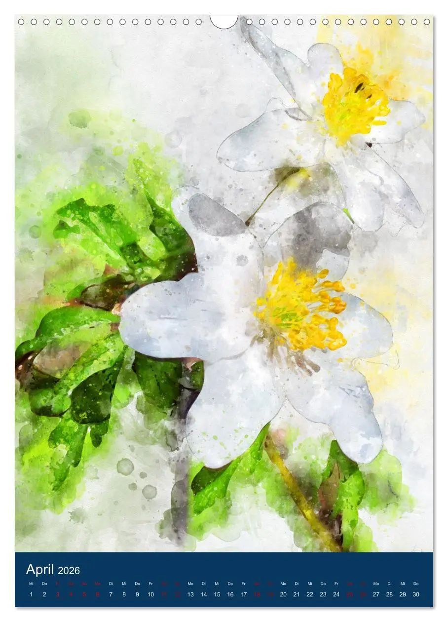 Bild: 9783516364279 | Wilde Blumen - Illustrierter Blütenzauber der Pflanzenwelt...