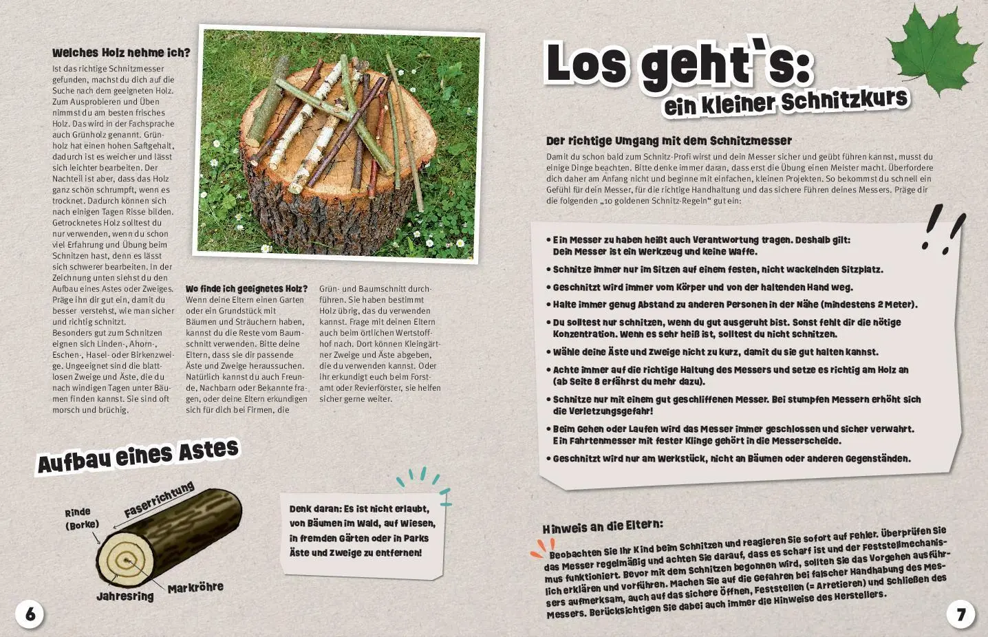 Bild: 9783625194279 | Tolle Schnitzereien - Neue Projekte Step by Step | Buch | 64 S. | 2023