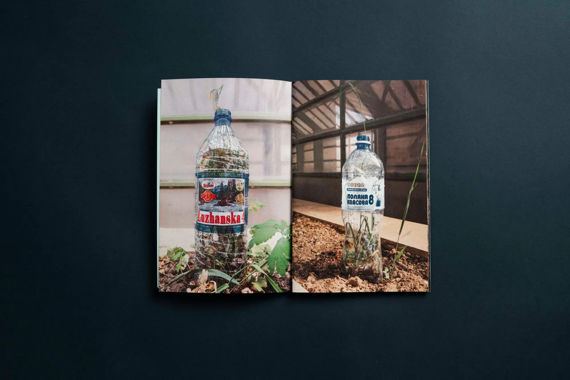Bild: 9783948174279 | Solomiya Nr. 4 | The Environmental Issue | Vsevolod Kazarin (u. a.)