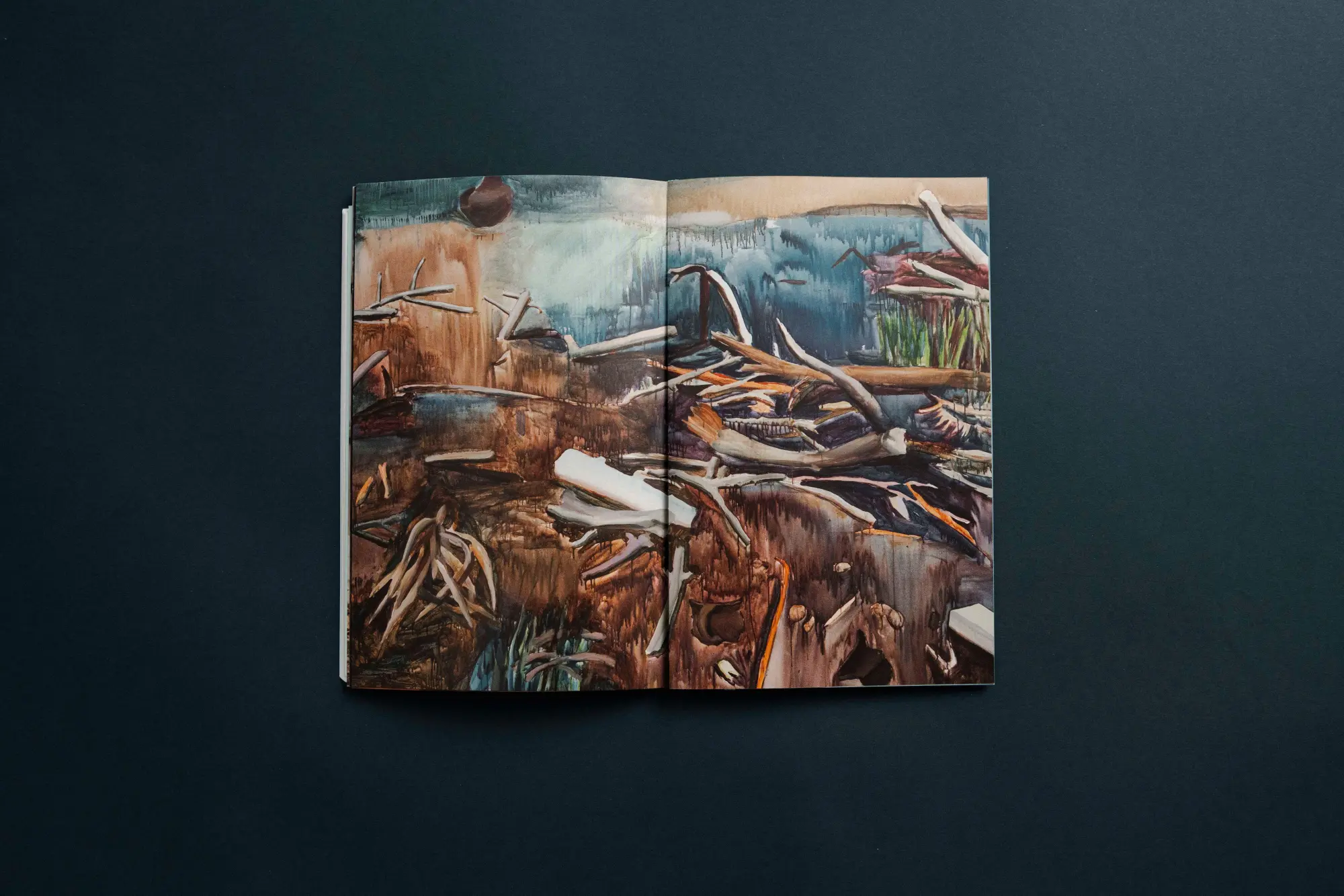 Bild: 9783948174279 | Solomiya Nr. 4 | The Environmental Issue | Vsevolod Kazarin (u. a.)