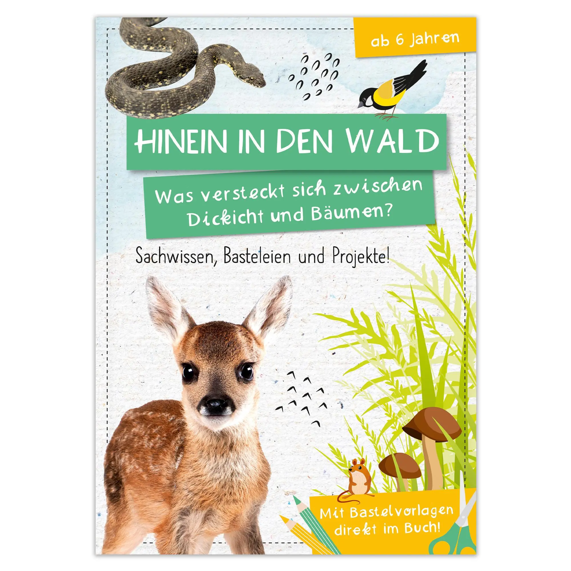 Cover: 9783963474279 | Activity Heft: Hinein in den Wald - Was versteckt sich zwischen...
