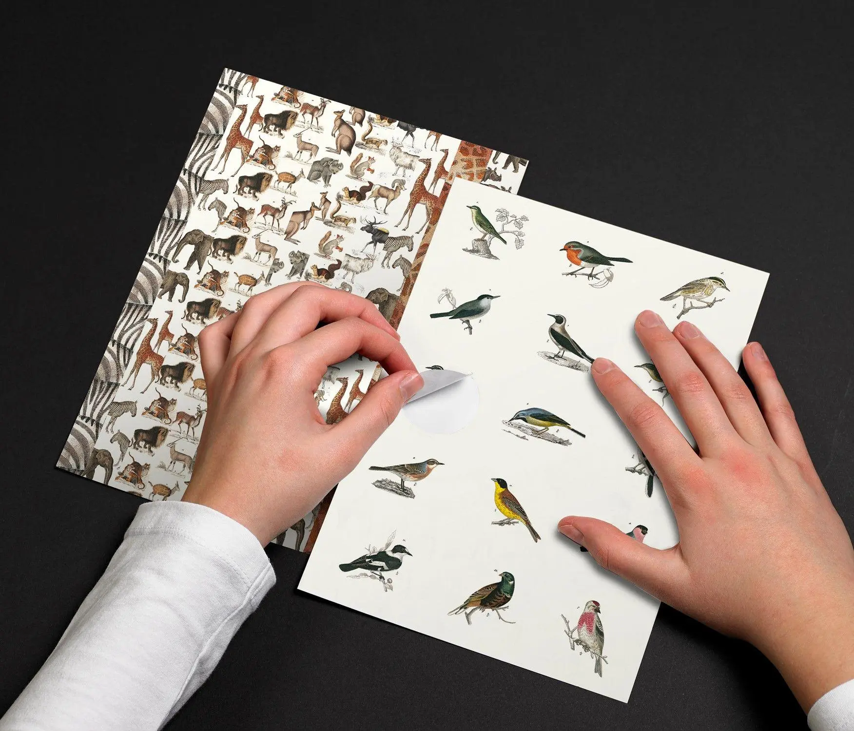 Bild: 9789460094279 | Fauna | Label and Sticker Book | Pepin Van Roojen | Taschenbuch | 2019
