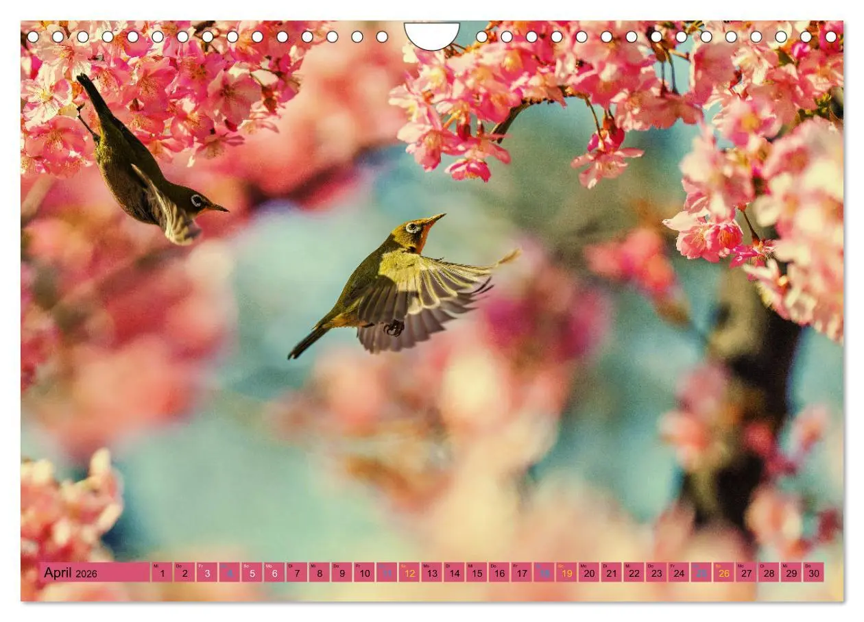 Bild: 9783457334379 | JAPAN - Im Land des Lächelns (Wandkalender 2026 DIN A4 quer),...
