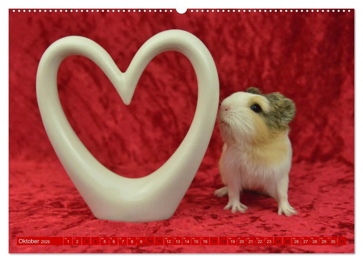 Bild: 9783457644379 | BABY Meerschweinchen Traumhaft süß (Wandkalender 2026 DIN A2 quer),...