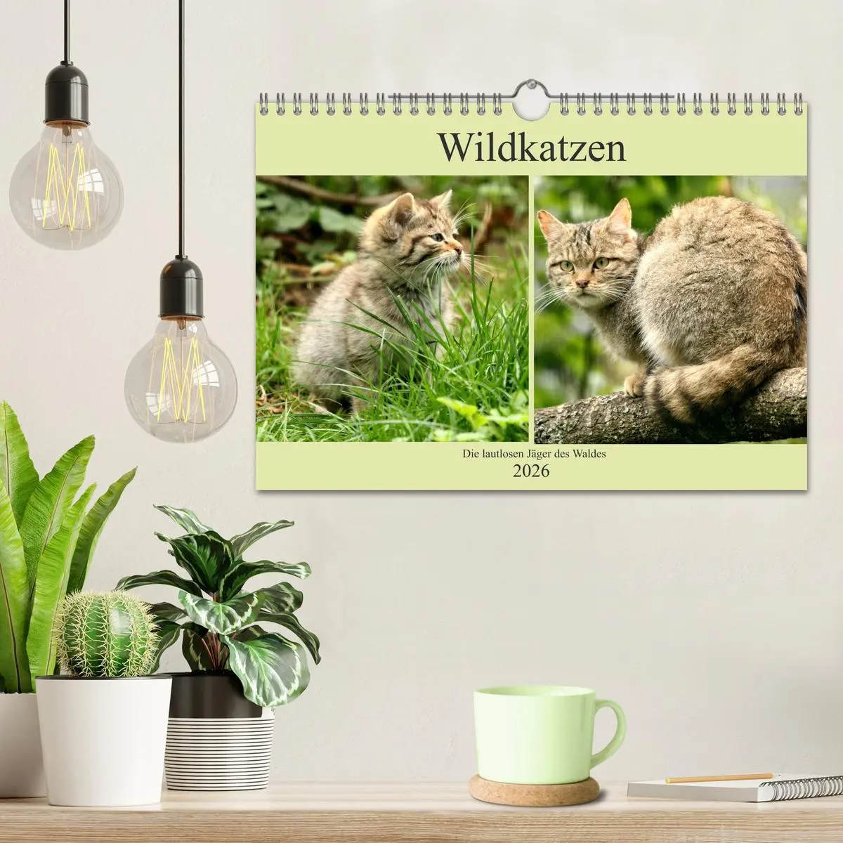 Bild: 9783457884379 | Wildkatzen - Die lautlosen Jäger des Waldes (Wandkalender 2026 DIN...
