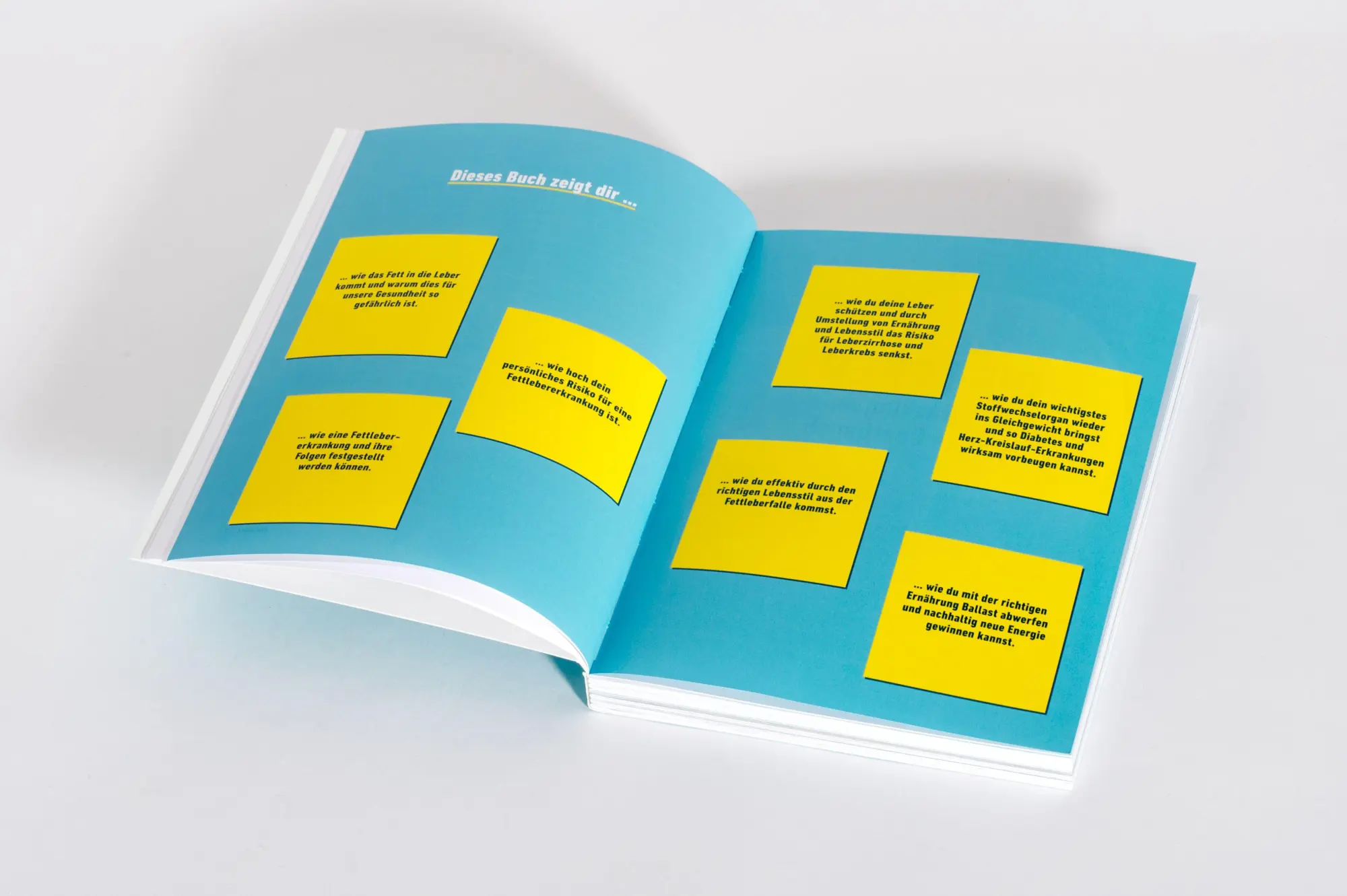 Bild: 9783517104379 | Fettleber, was nun? | Julia Seiderer-Nack | Taschenbuch | 224 S.