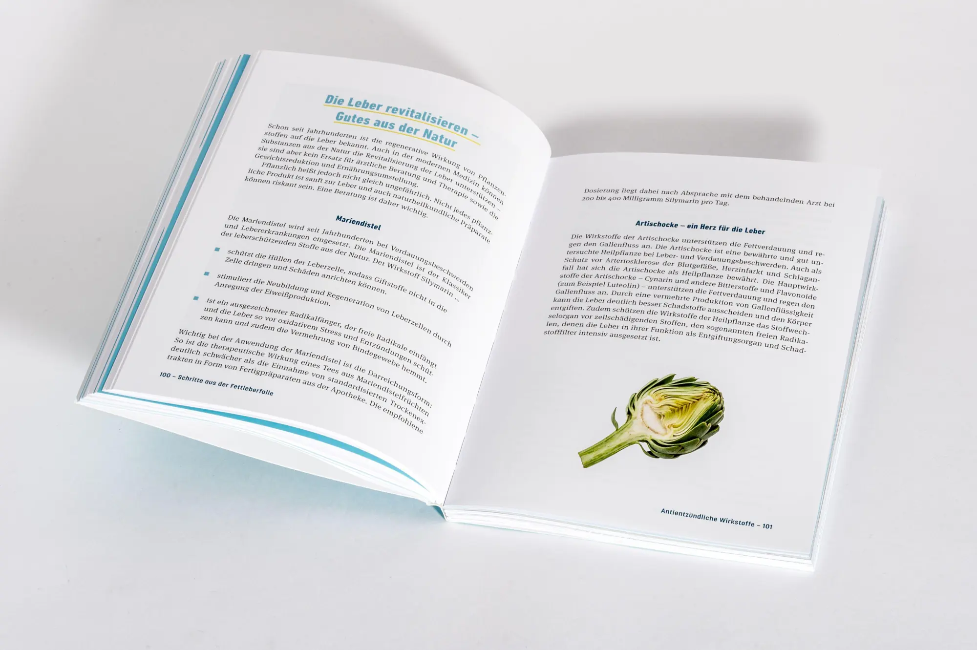 Bild: 9783517104379 | Fettleber, was nun? | Julia Seiderer-Nack | Taschenbuch | 224 S.