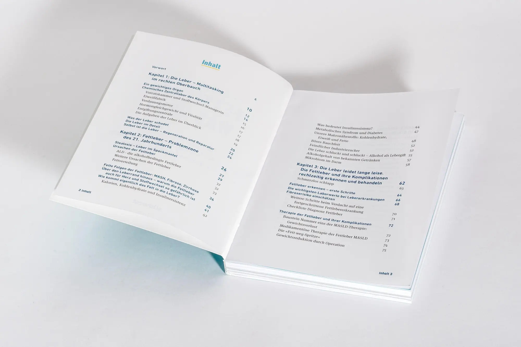 Bild: 9783517104379 | Fettleber, was nun? | Julia Seiderer-Nack | Taschenbuch | 224 S.