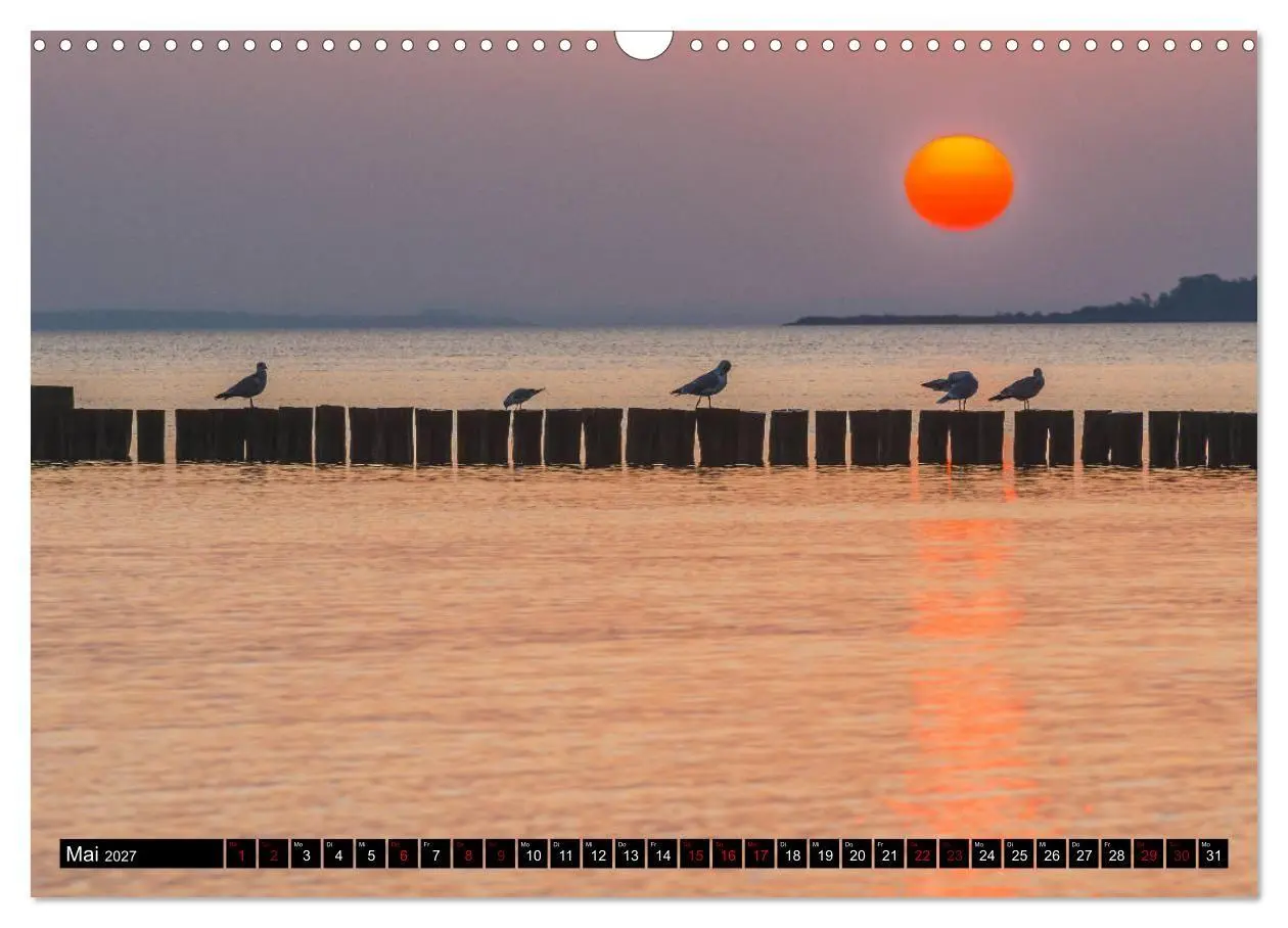 Bild: 9783569754379 | Ostsee - Boltenhagen (Wandkalender 2027 DIN A3 quer), CALVENDO...