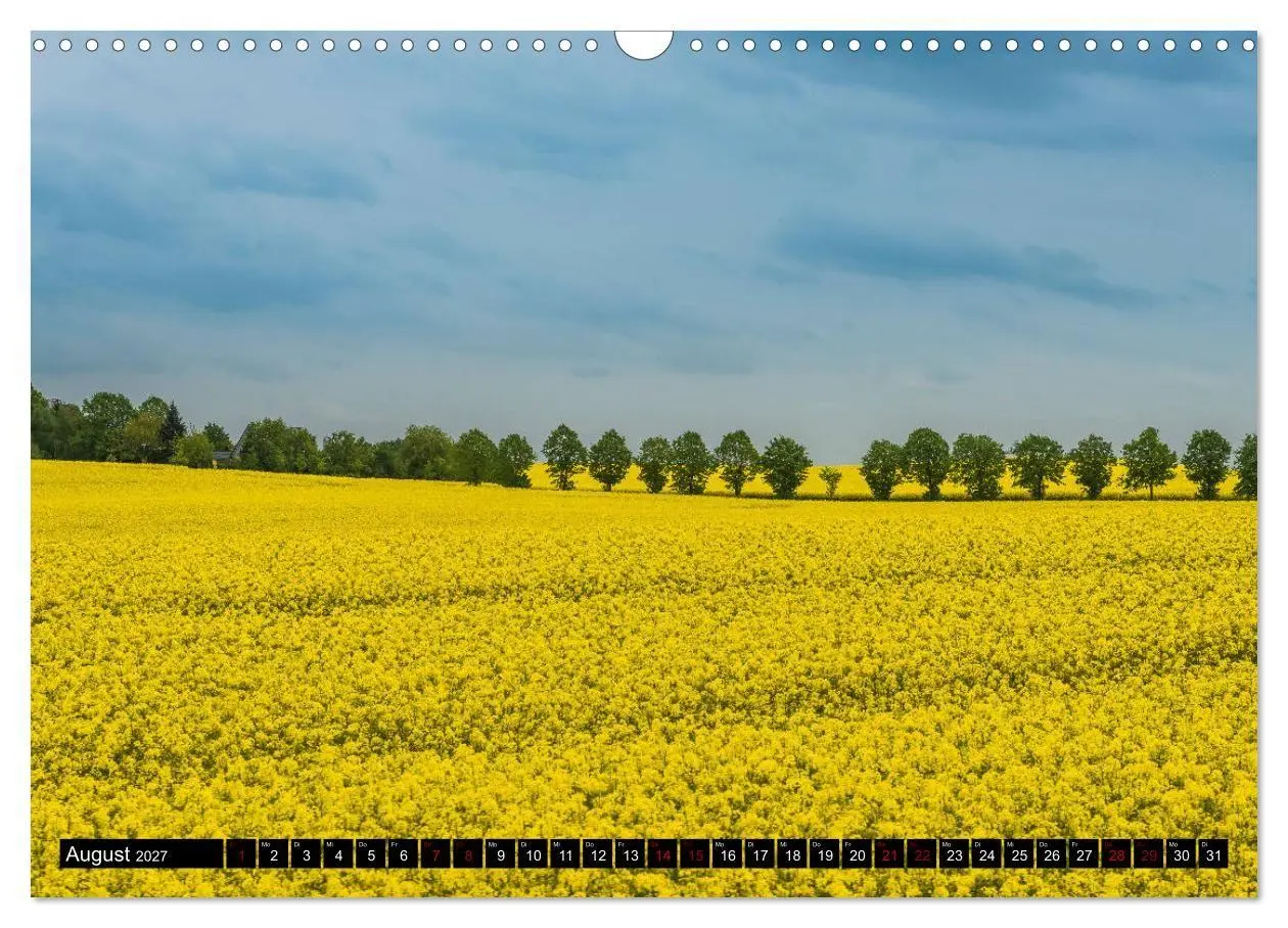 Bild: 9783569754379 | Ostsee - Boltenhagen (Wandkalender 2027 DIN A3 quer), CALVENDO...