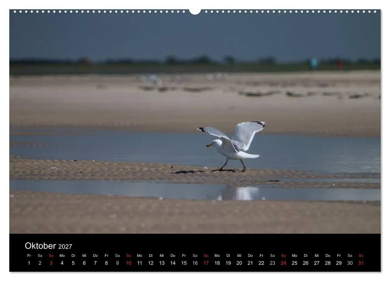 Bild: 9783594024379 | Amrumer Impressionen (hochwertiger Premium Wandkalender 2027 DIN A2...